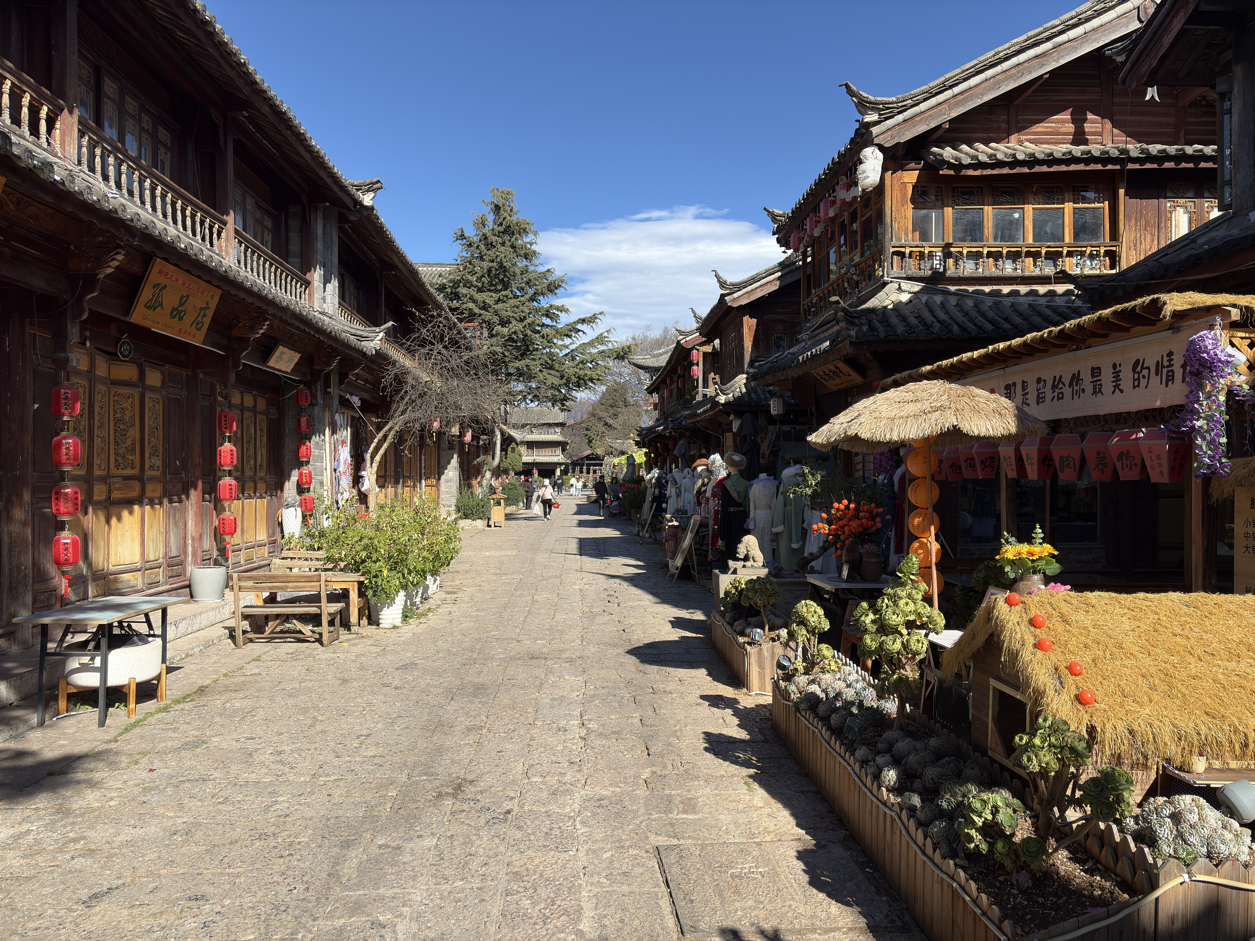 Picture China Lijiang 2026-01 115 - History Lijiang
