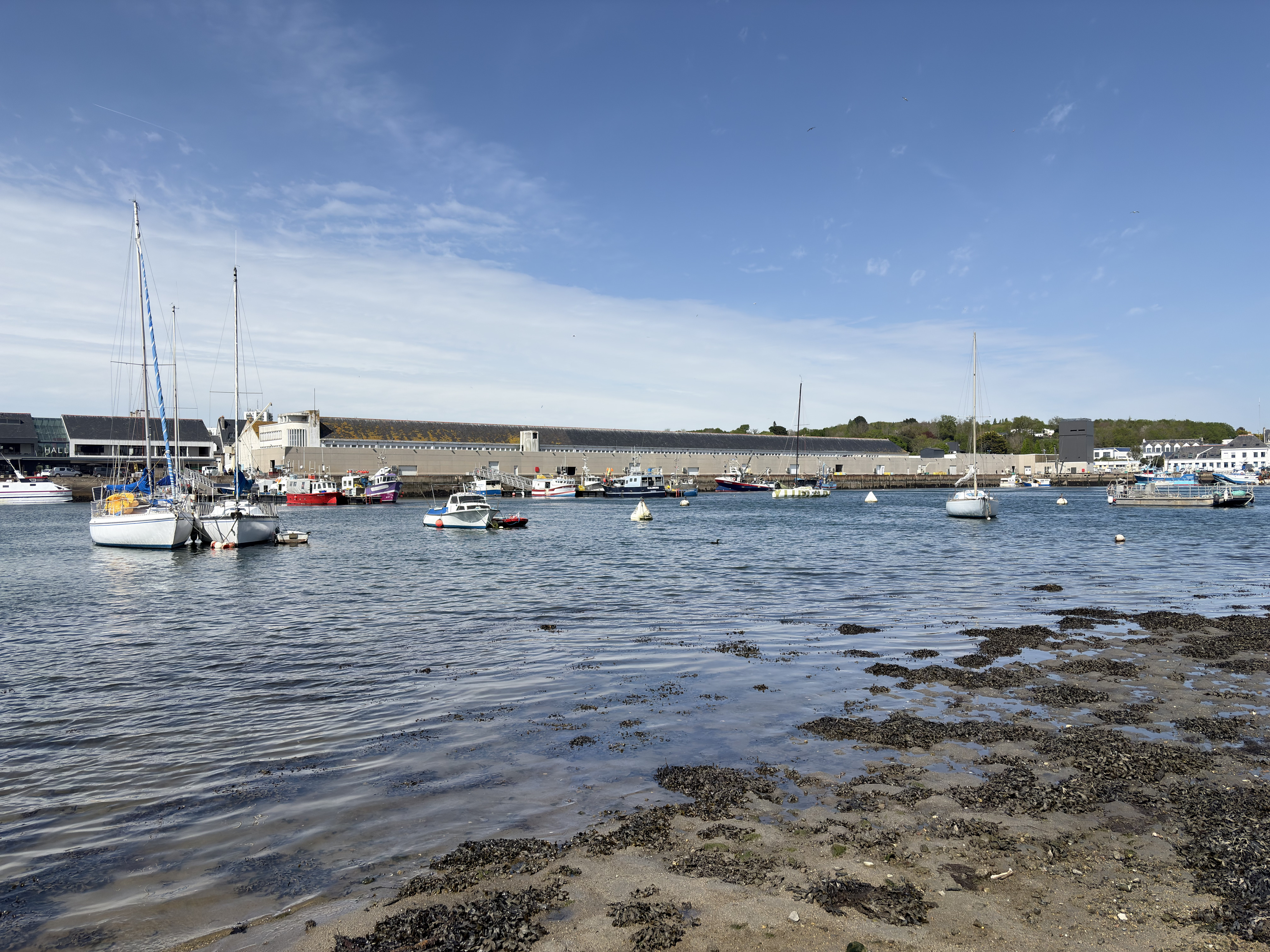 Picture France Concarneau Ville close 2026-04 125 - Journey Ville close