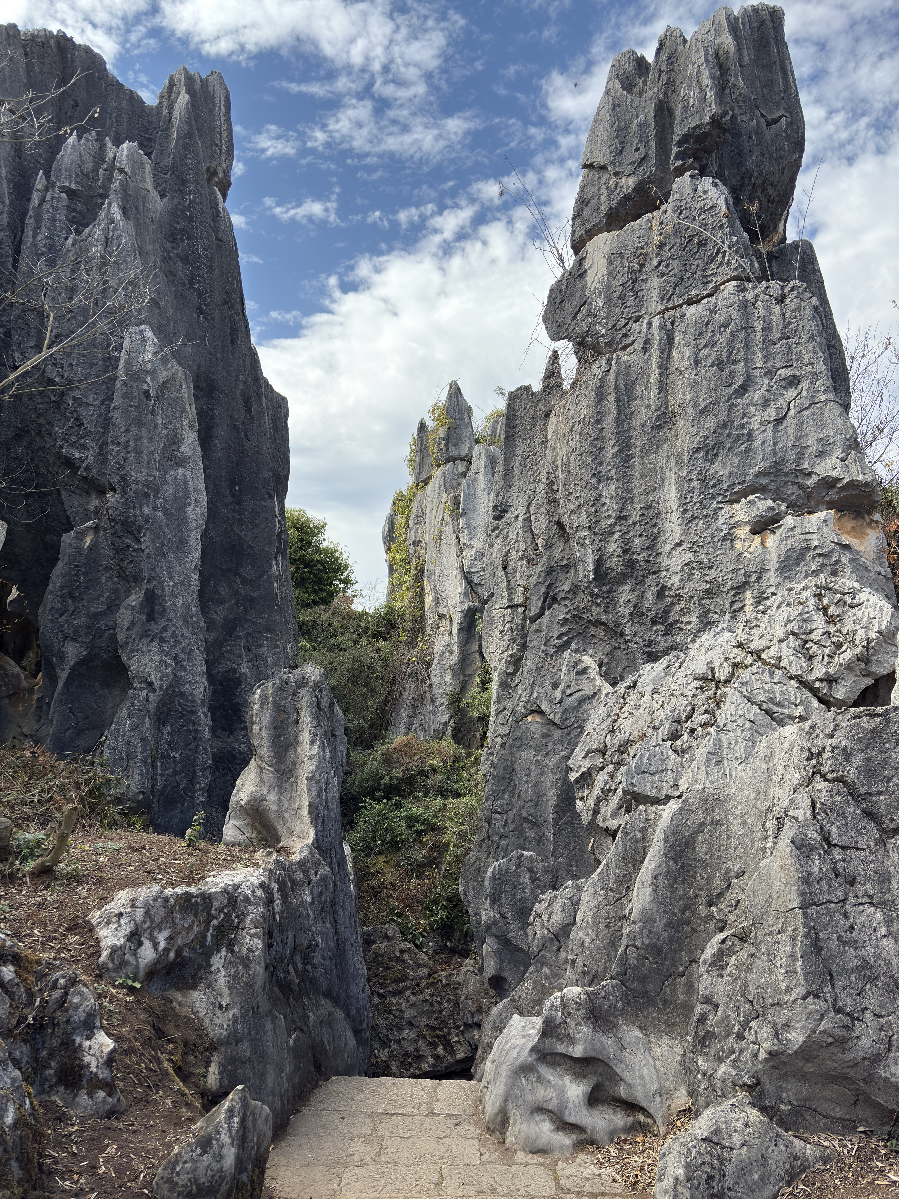 Picture China Shilin Stone Forest 2026-01 112 - Tour Shilin Stone Forest