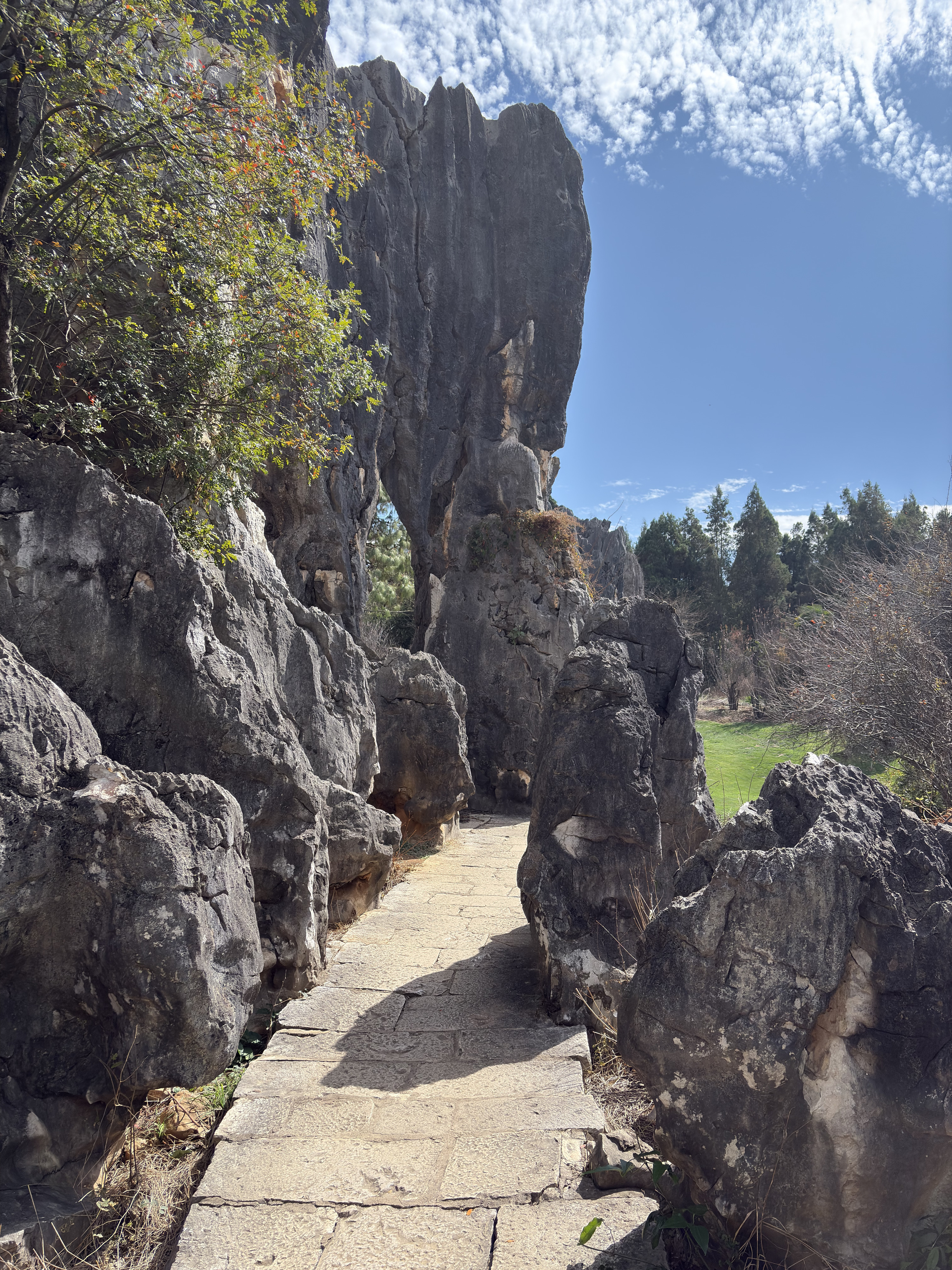 Picture China Shilin Stone Forest 2026-01 278 - History Shilin Stone Forest