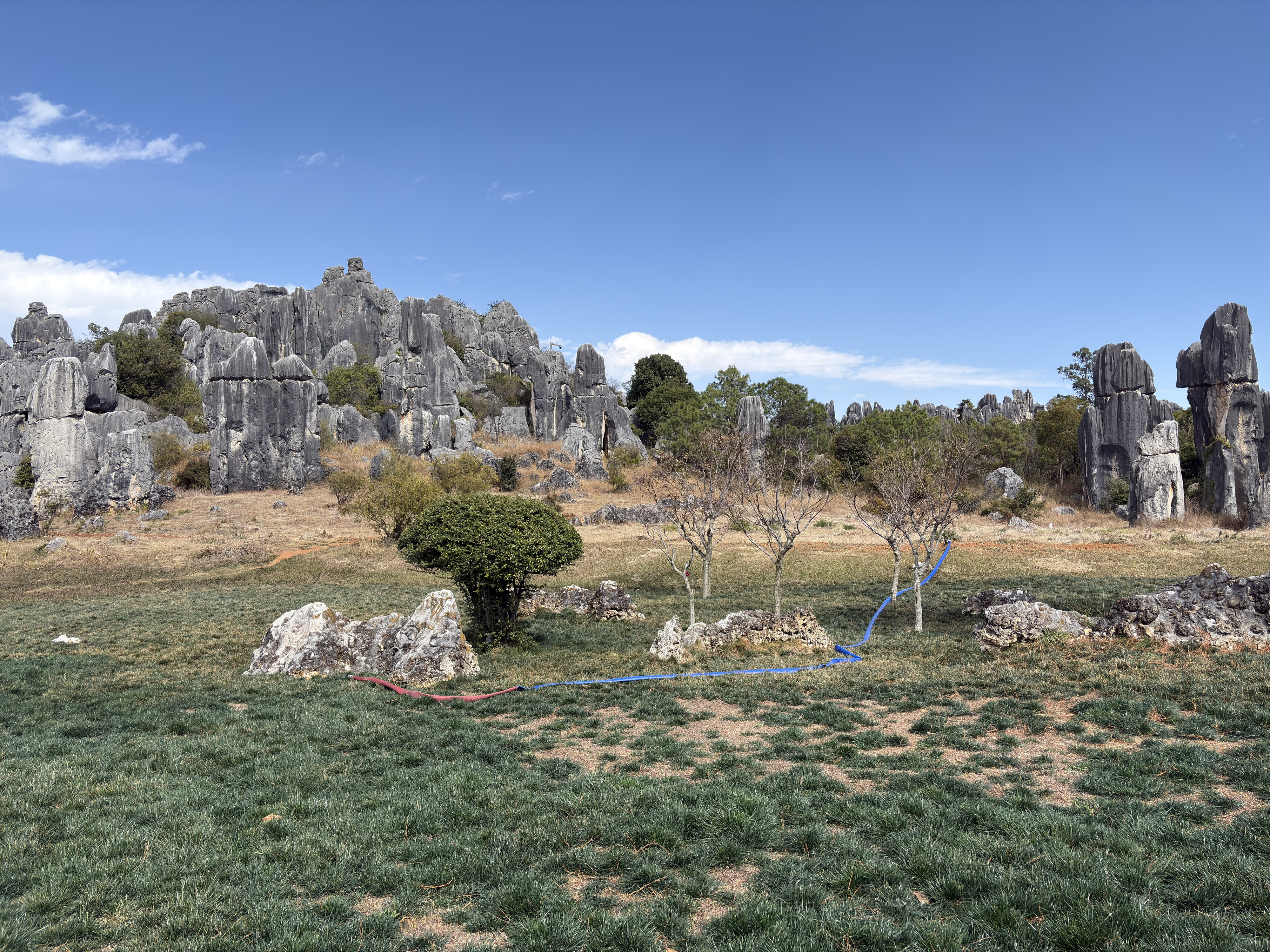 Picture China Shilin Stone Forest 2026-01 14 - Tour Shilin Stone Forest
