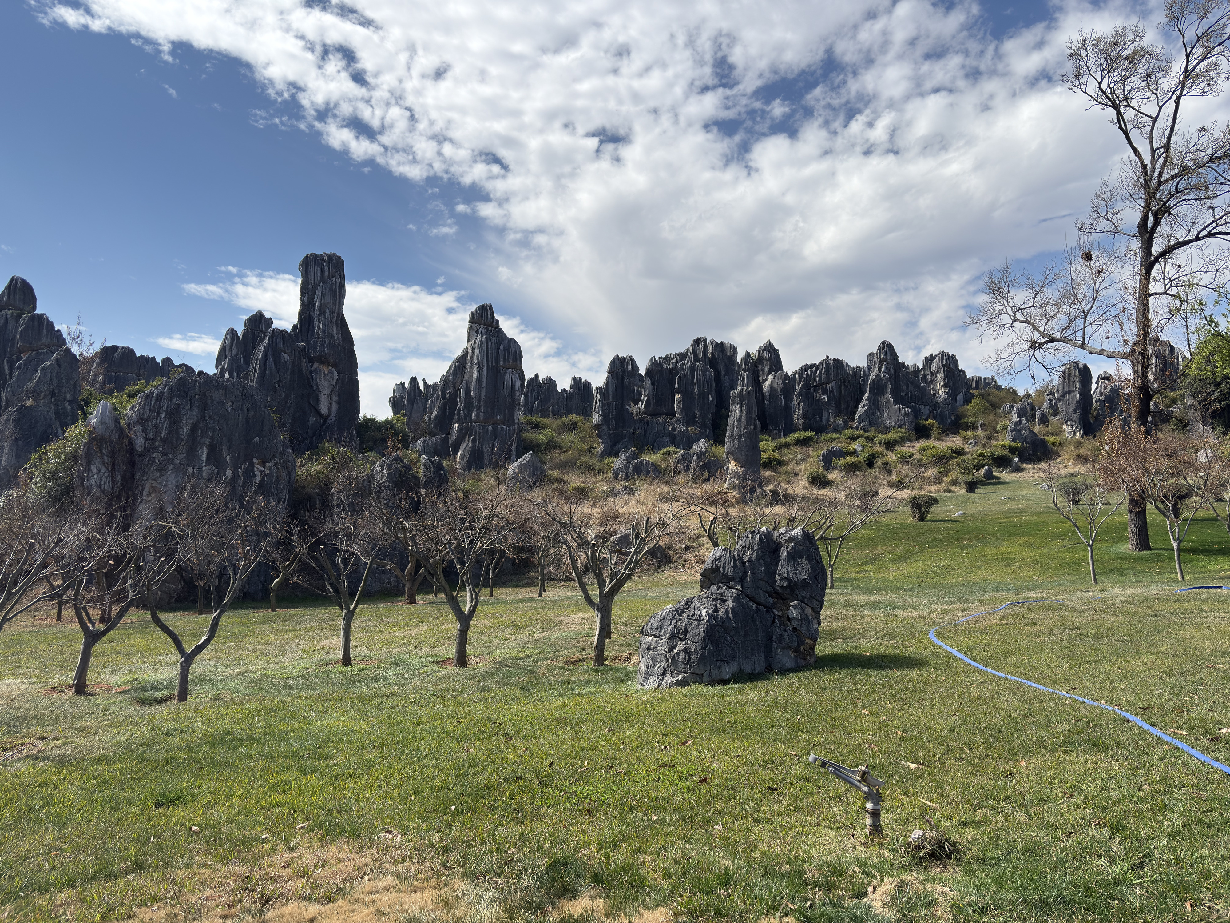 Picture China Shilin Stone Forest 2026-01 79 - Journey Shilin Stone Forest