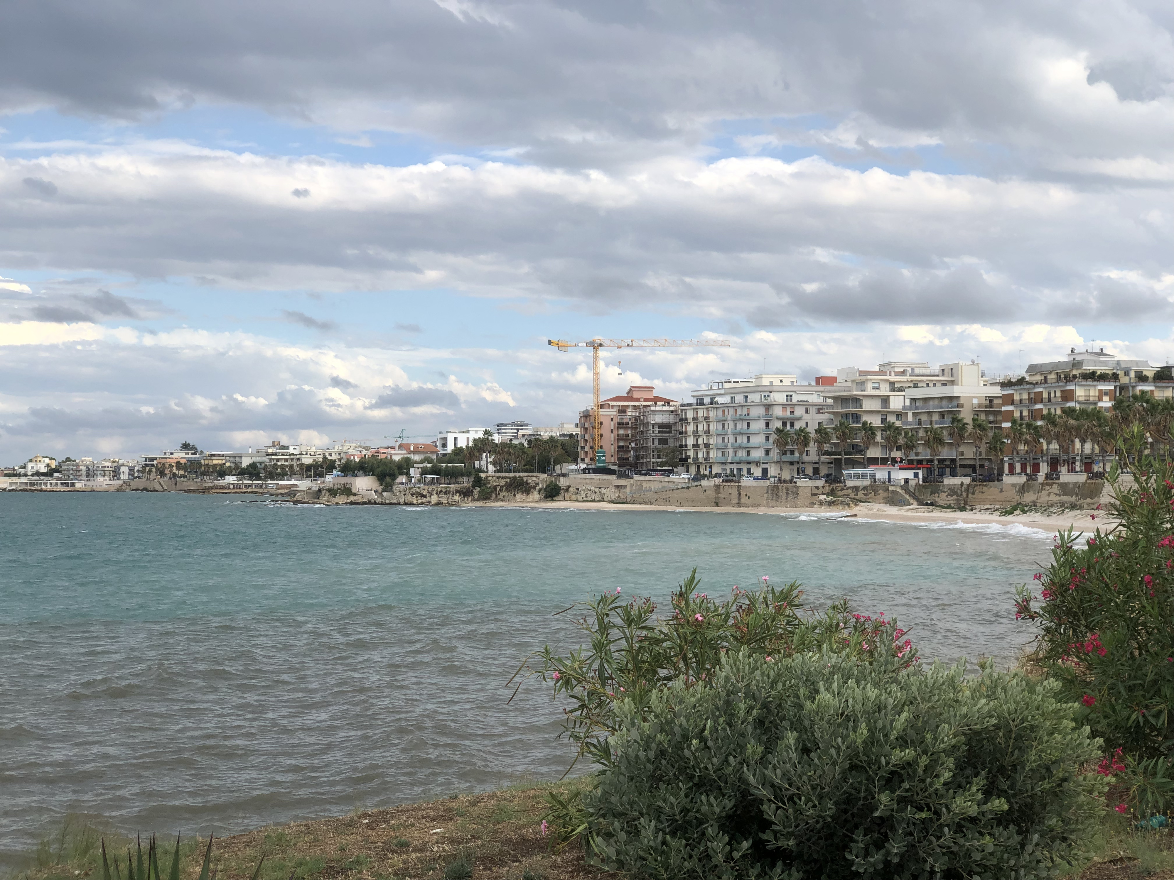 Picture Italy Trani 2024-09 137 - Journey Trani