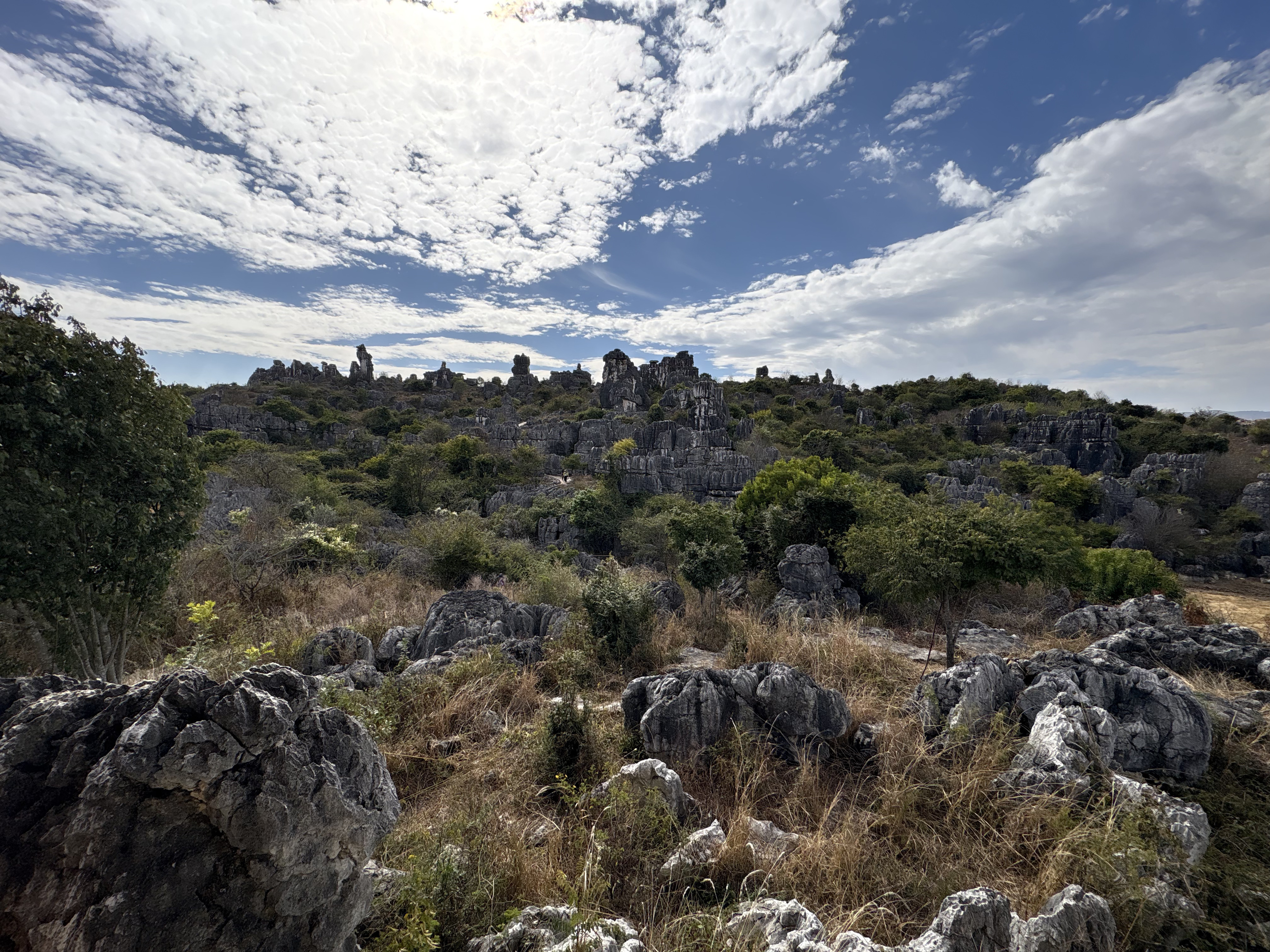 Picture China Shilin Stone Forest 2026-01 379 - Center Shilin Stone Forest