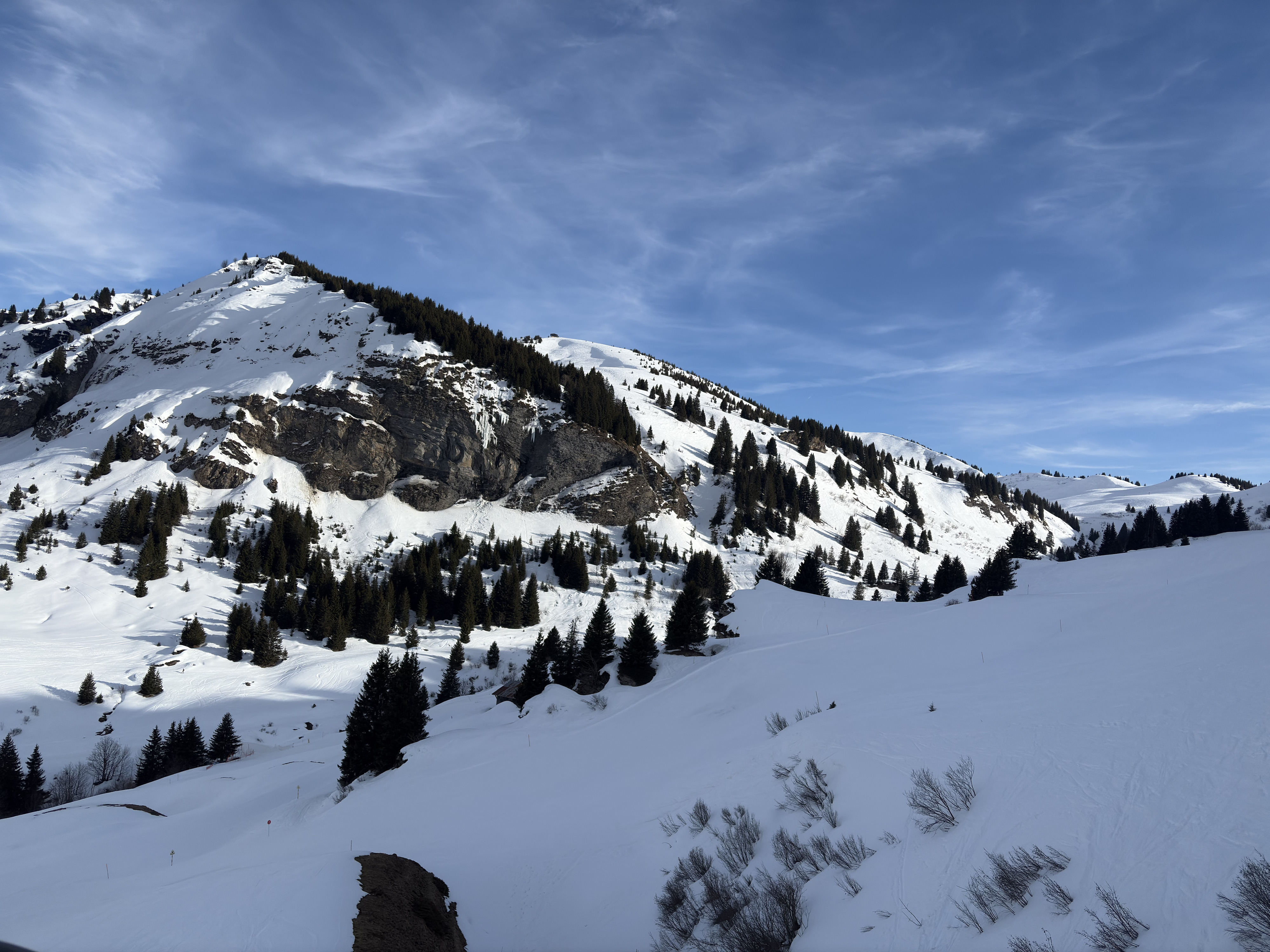 Picture France Praz sur Arly 2025-02 36
