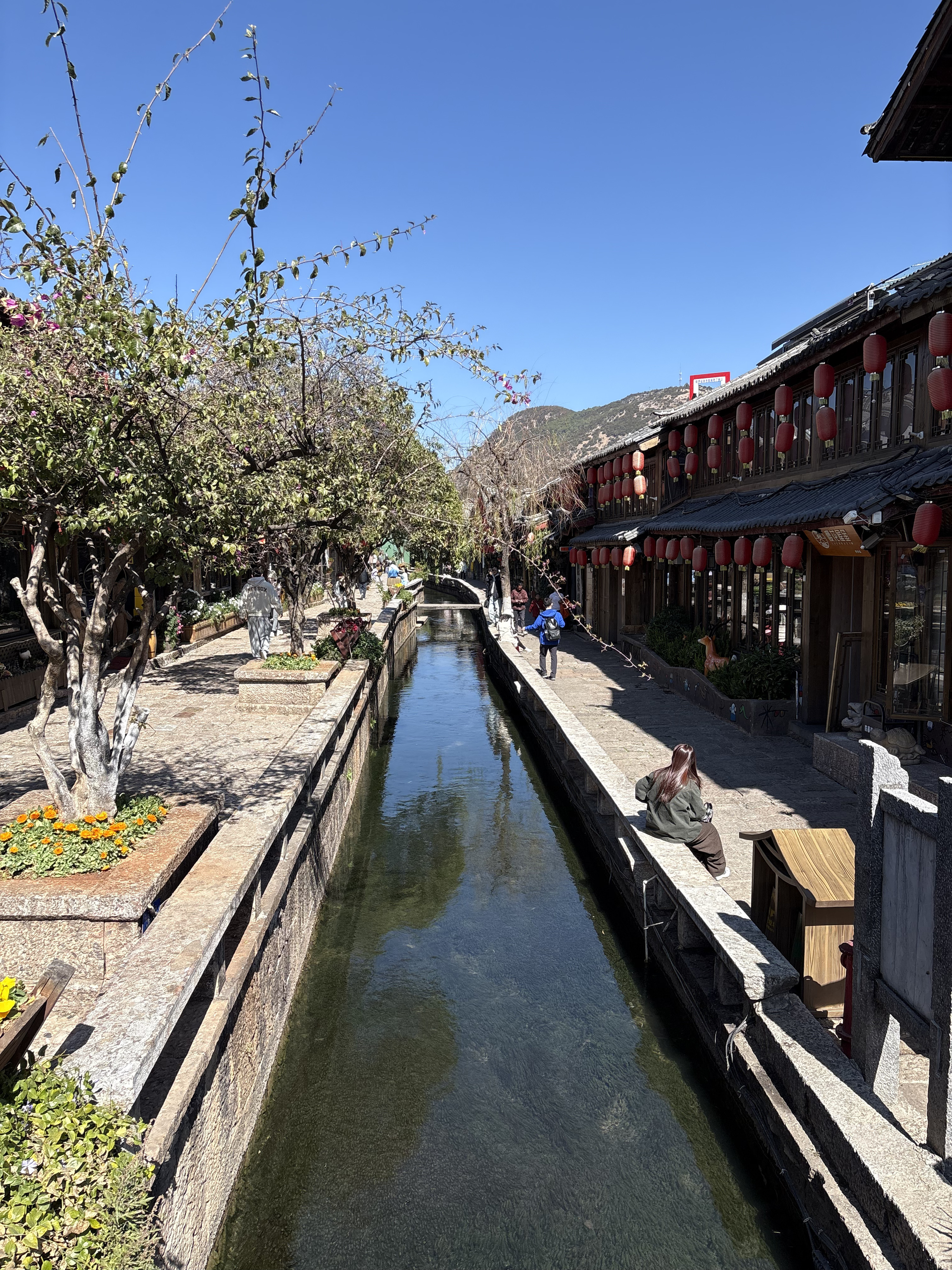 Picture China Lijiang 2026-01 559 - Journey Lijiang