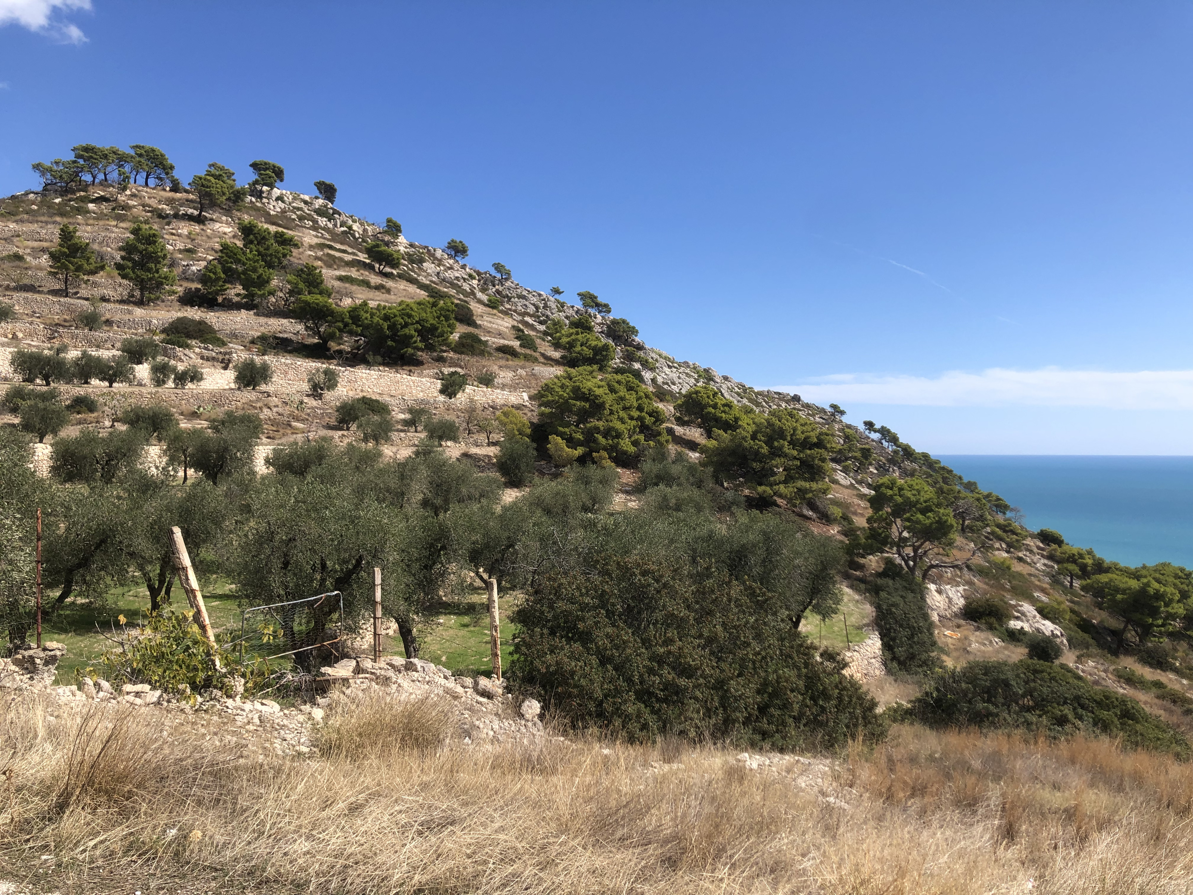 Picture Italy Gargano 2024-09 0 - Tours Gargano