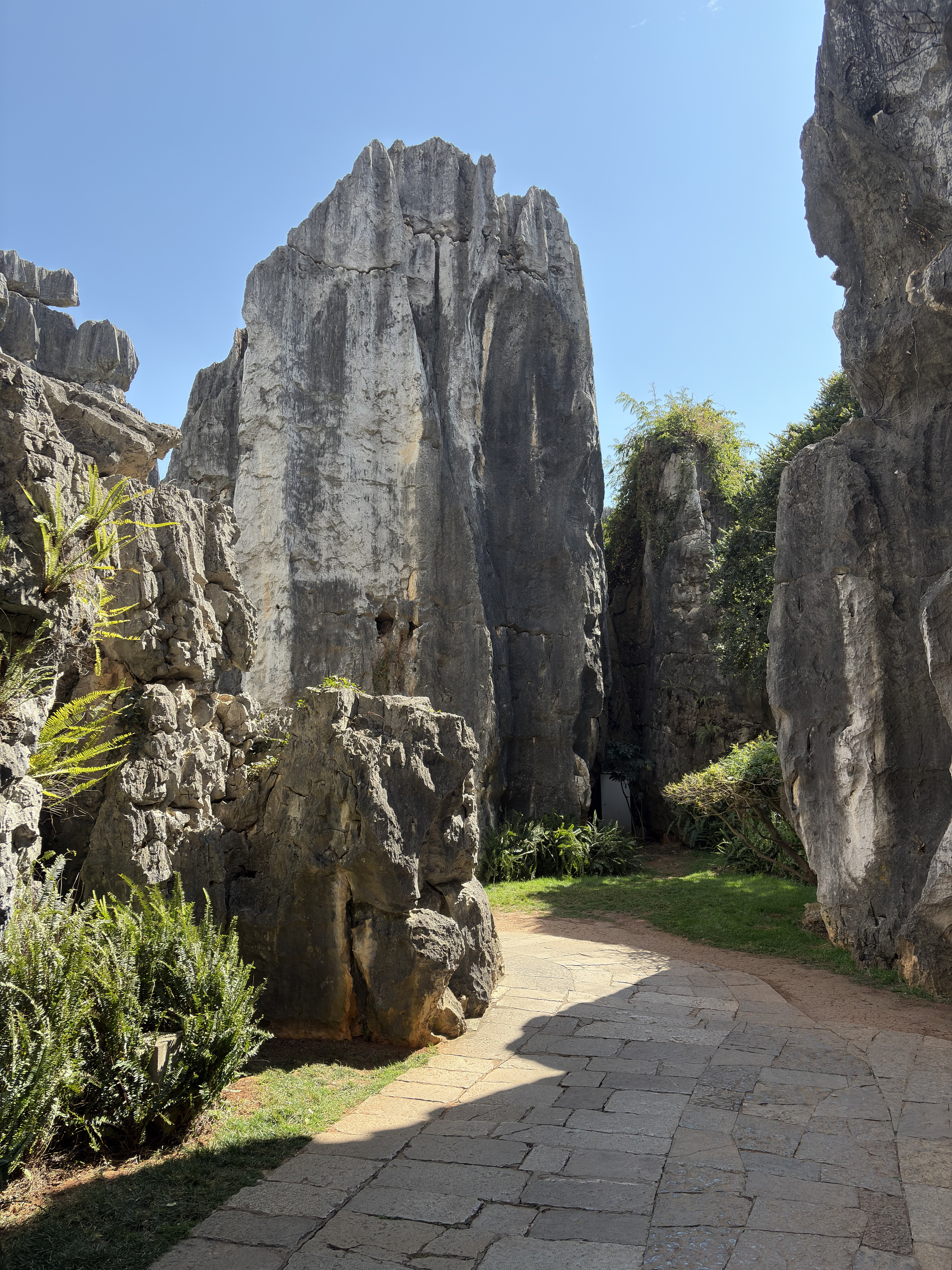 Picture China Shilin Stone Forest 2026-01 210 - Tour Shilin Stone Forest