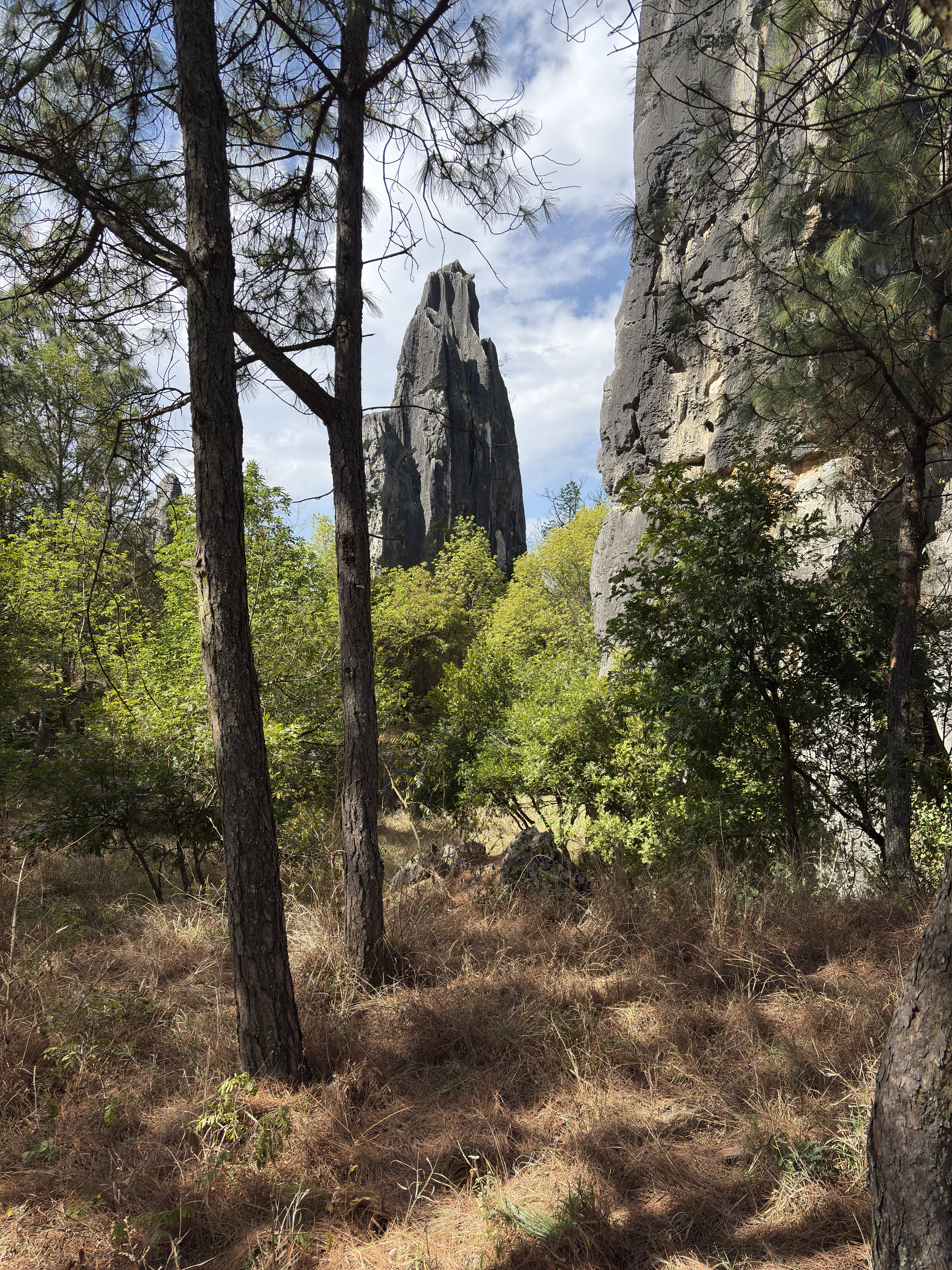 Picture China Shilin Stone Forest 2026-01 323 - Journey Shilin Stone Forest