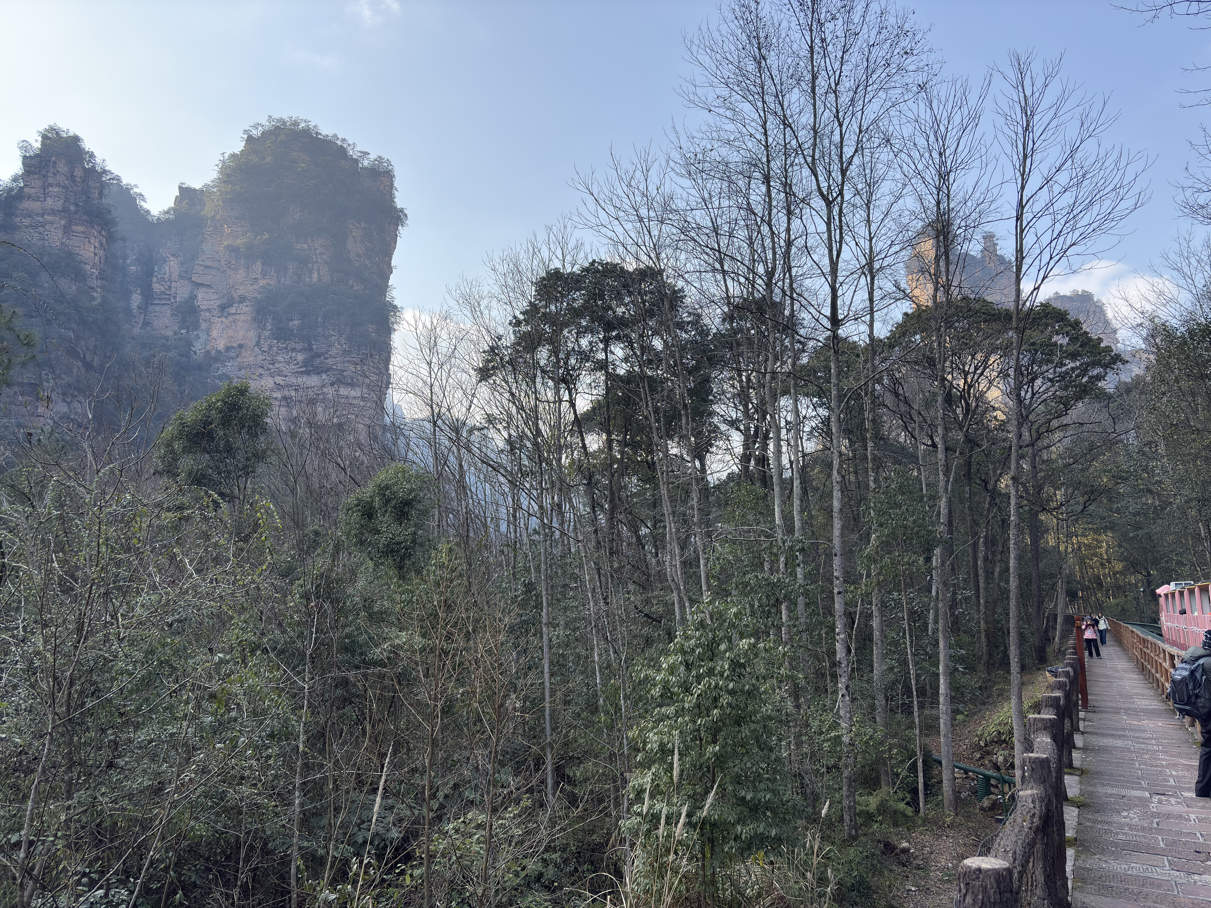 Picture China Zhangjiajie Tianzi Mountrain 2026-01 383 - Around Tianzi Mountrain