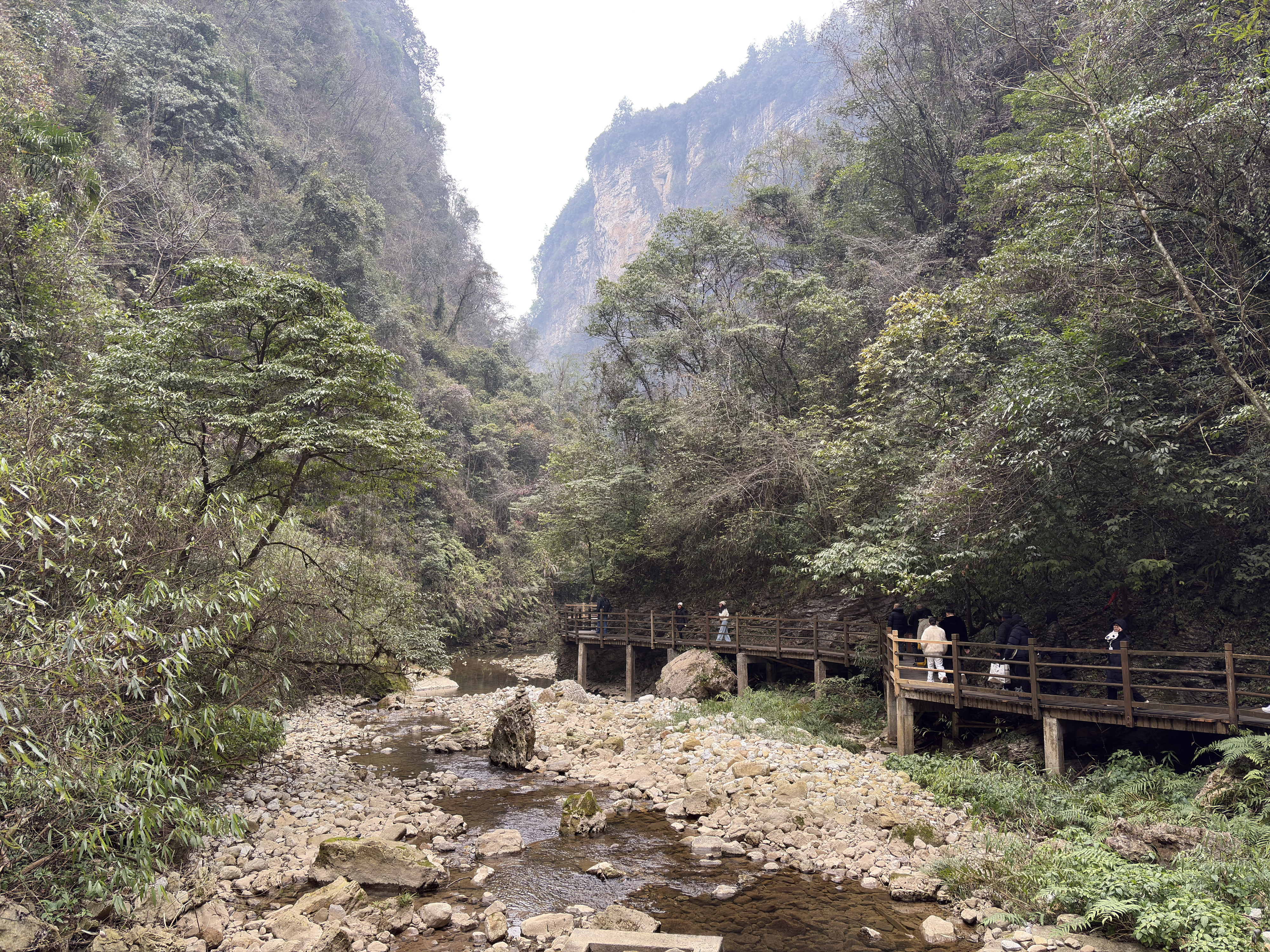 Picture China Zhangjiajie Grand Canion 2026-01 59 - History Grand Canion