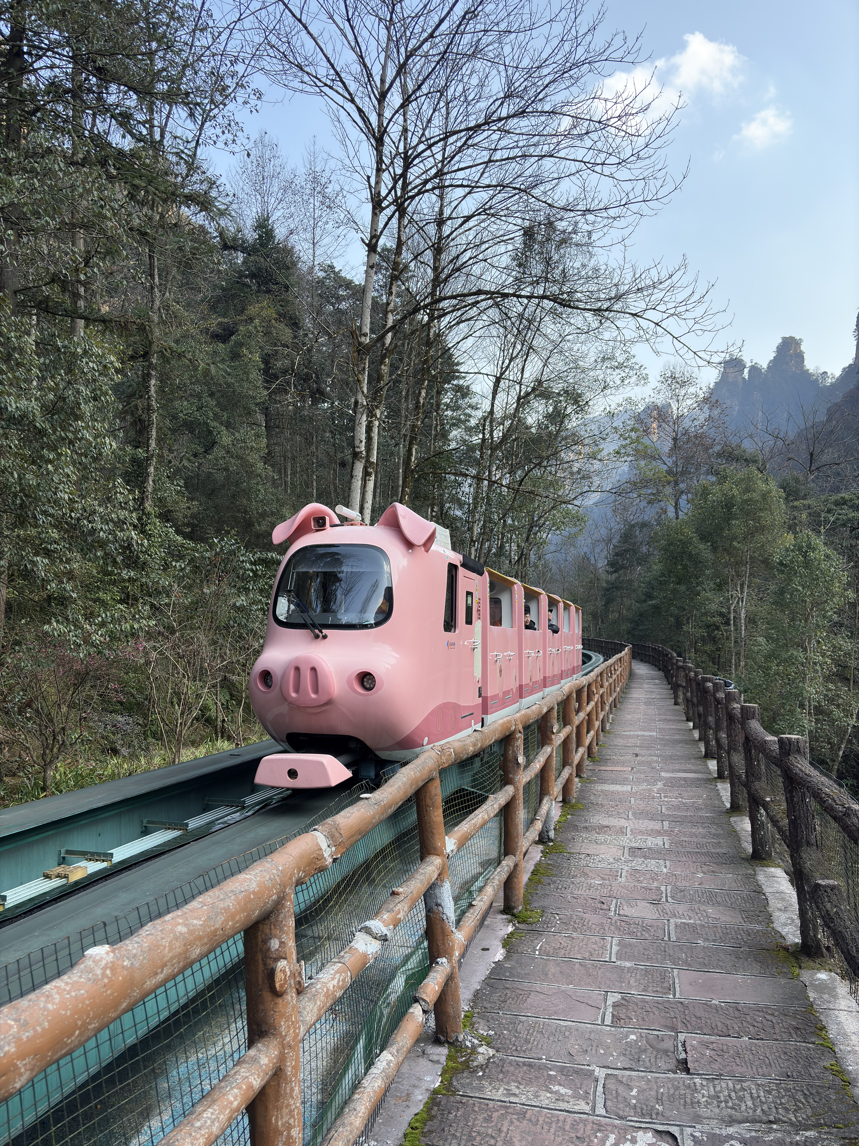Picture China Zhangjiajie Tianzi Mountrain 2026-01 108 - Discovery Tianzi Mountrain