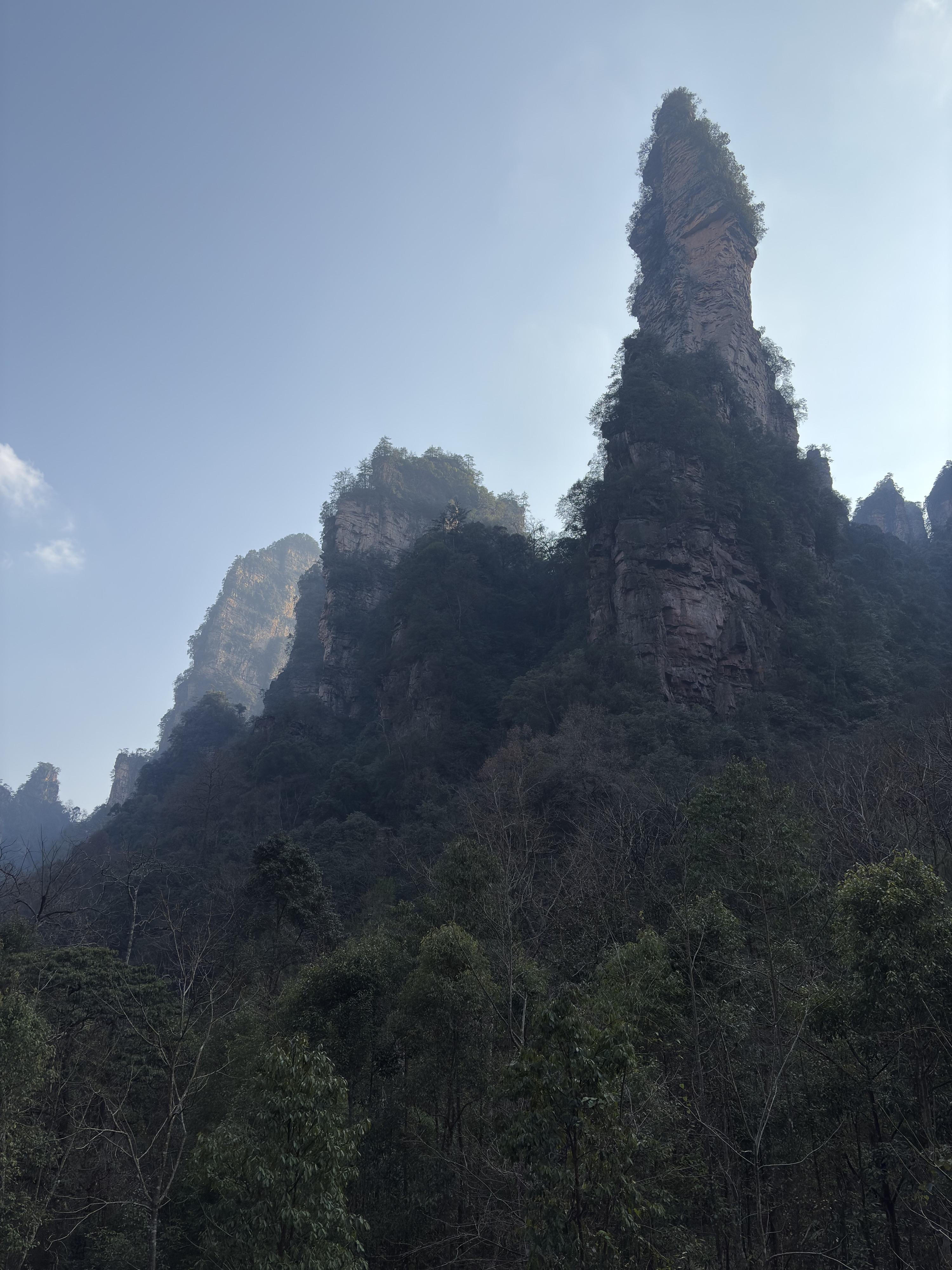 Picture China Zhangjiajie Tianzi Mountrain 2026-01 2 - Recreation Tianzi Mountrain