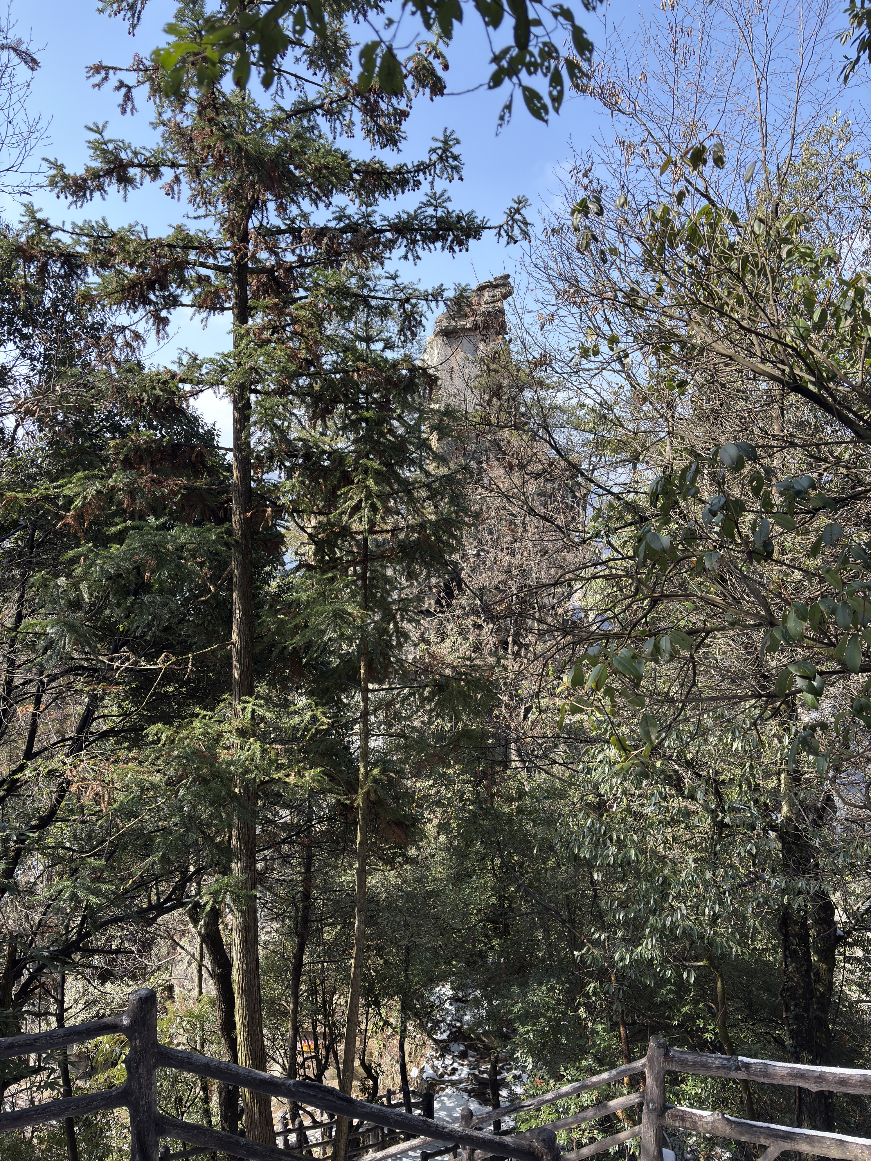 Picture China Zhangjiajie Tianzi Mountrain 2026-01 153 - History Tianzi Mountrain