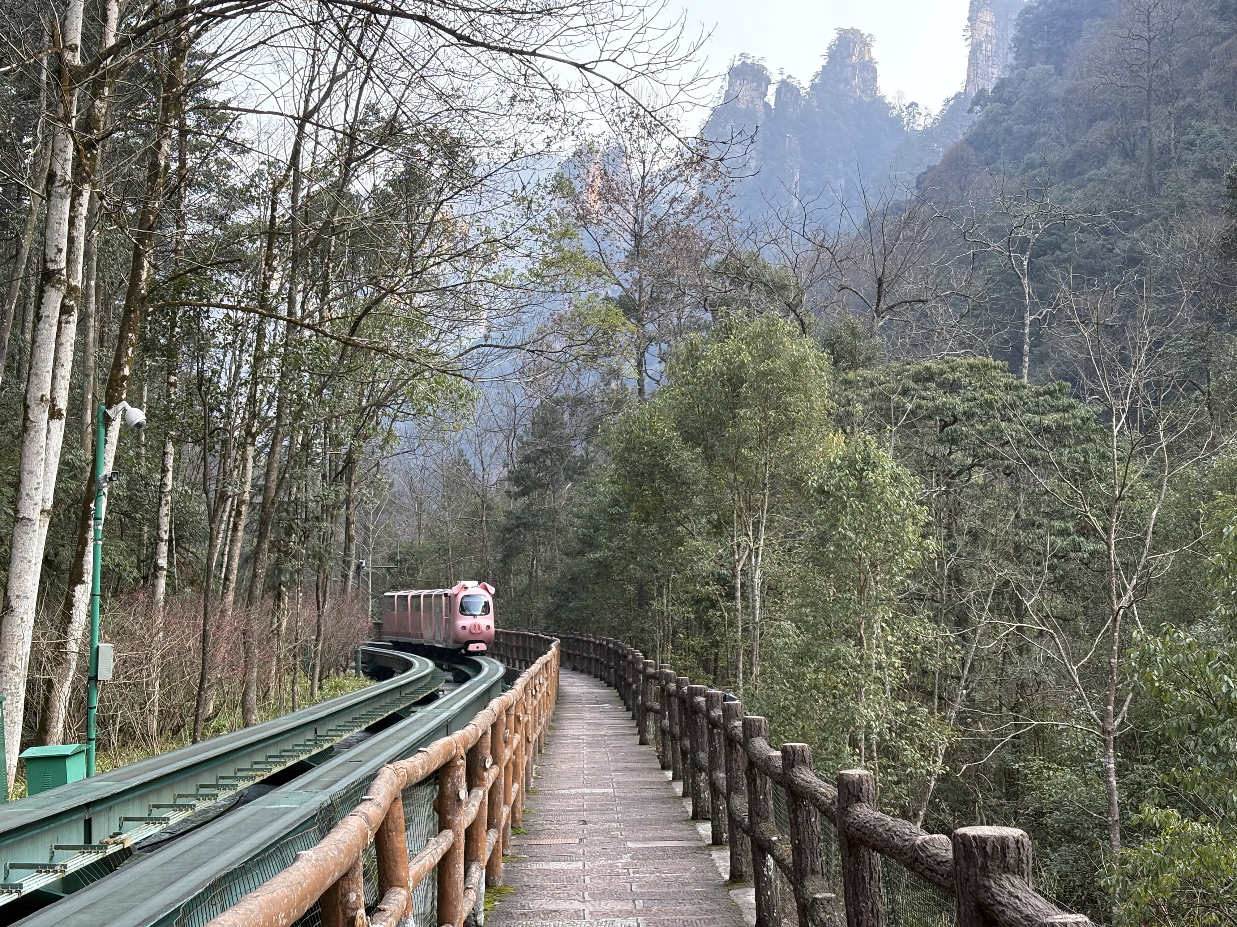 Picture China Zhangjiajie Tianzi Mountrain 2026-01 413 - Around Tianzi Mountrain