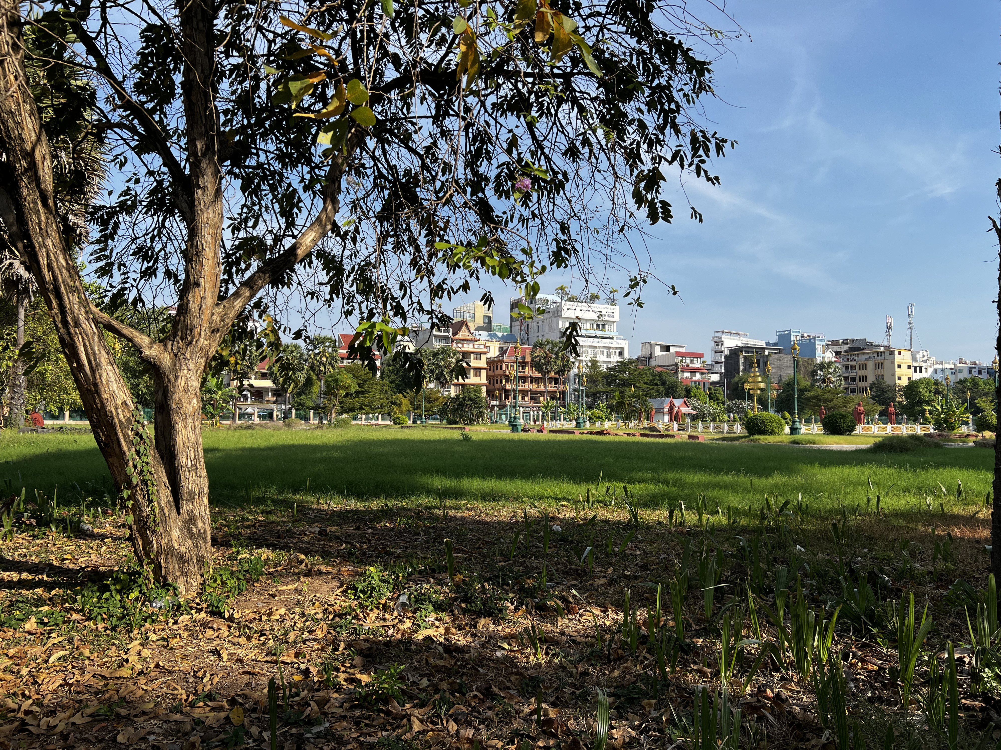 Picture Cambodia Phnom Penh 2024-01 75 - Tours Phnom Penh