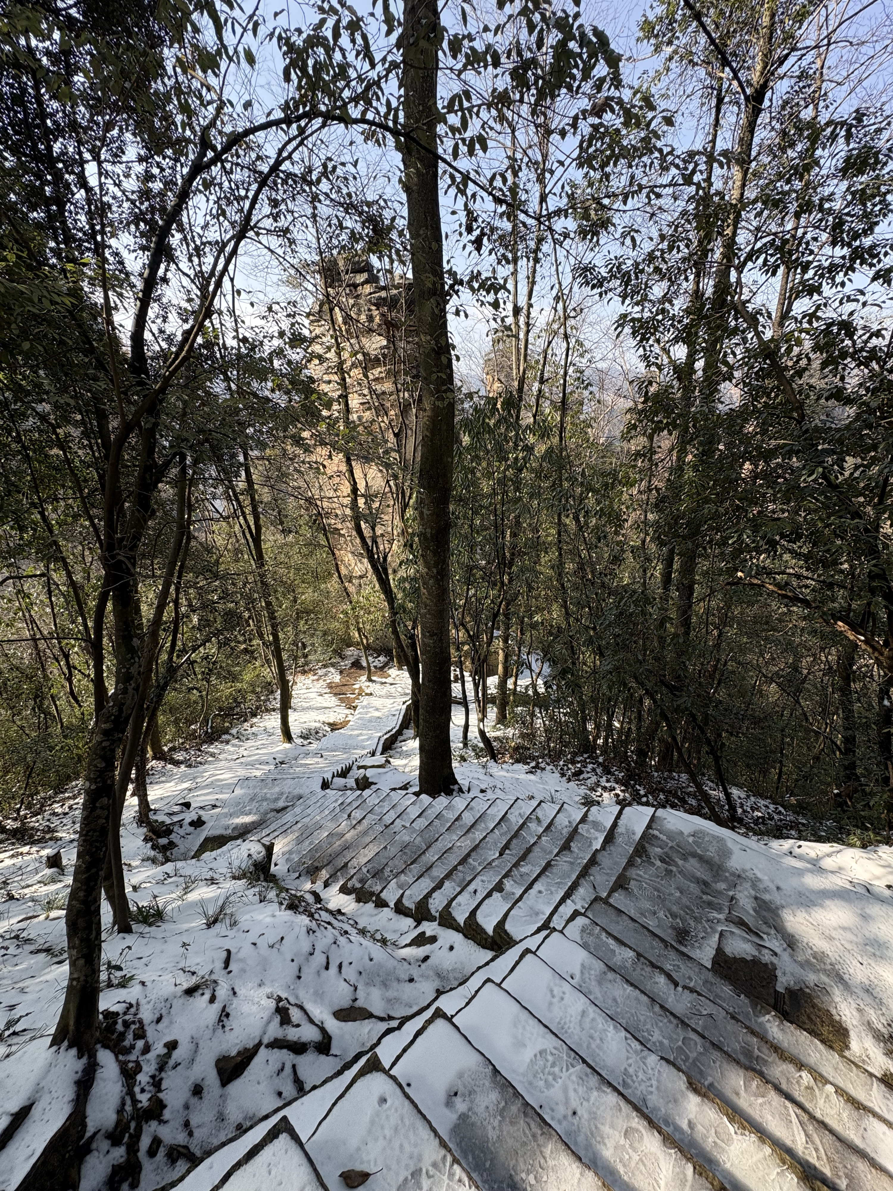 Picture China Zhangjiajie Tianzi Mountrain 2026-01 406 - Discovery Tianzi Mountrain