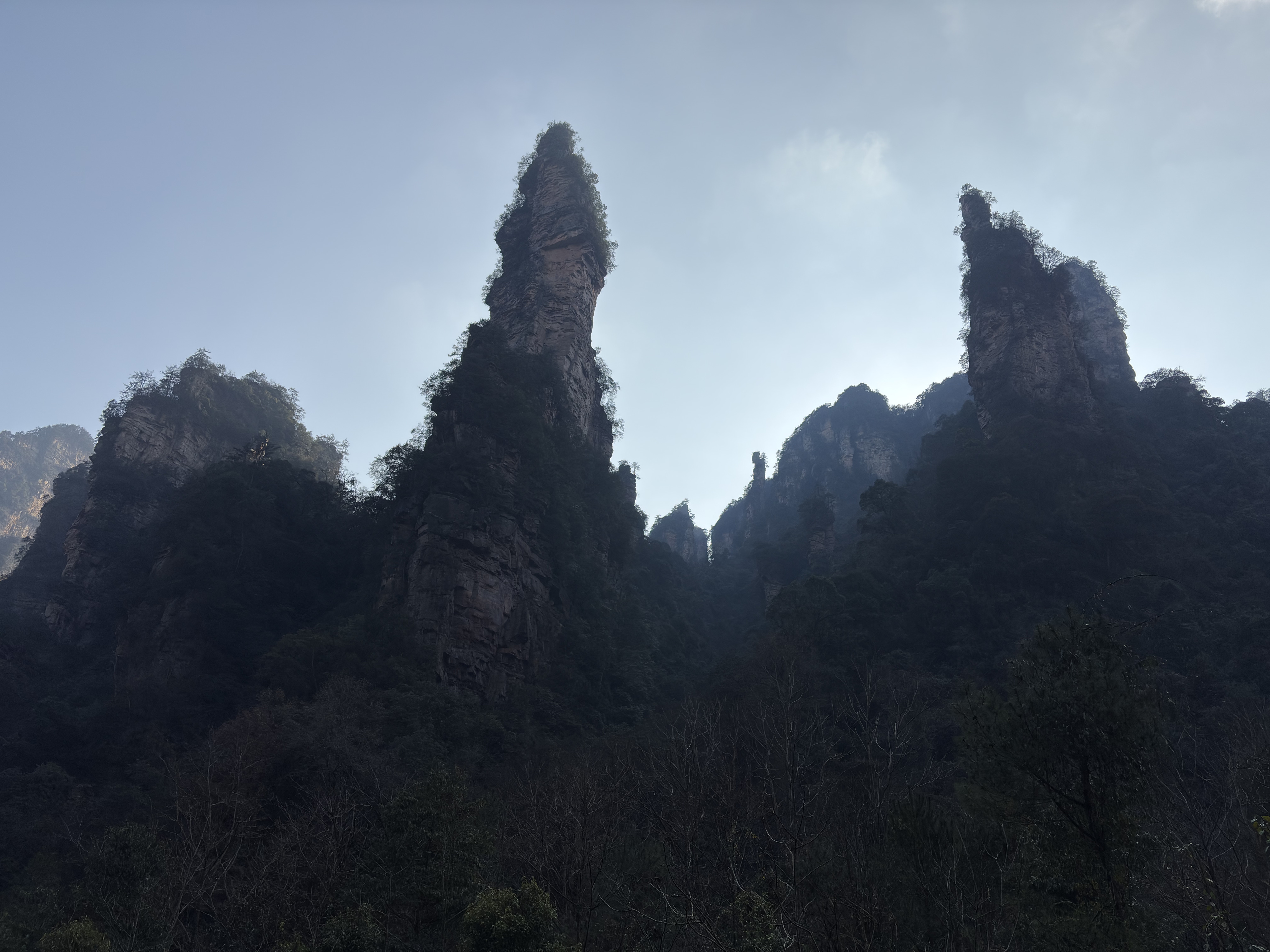 Picture China Zhangjiajie Tianzi Mountrain 2026-01 359 - Discovery Tianzi Mountrain