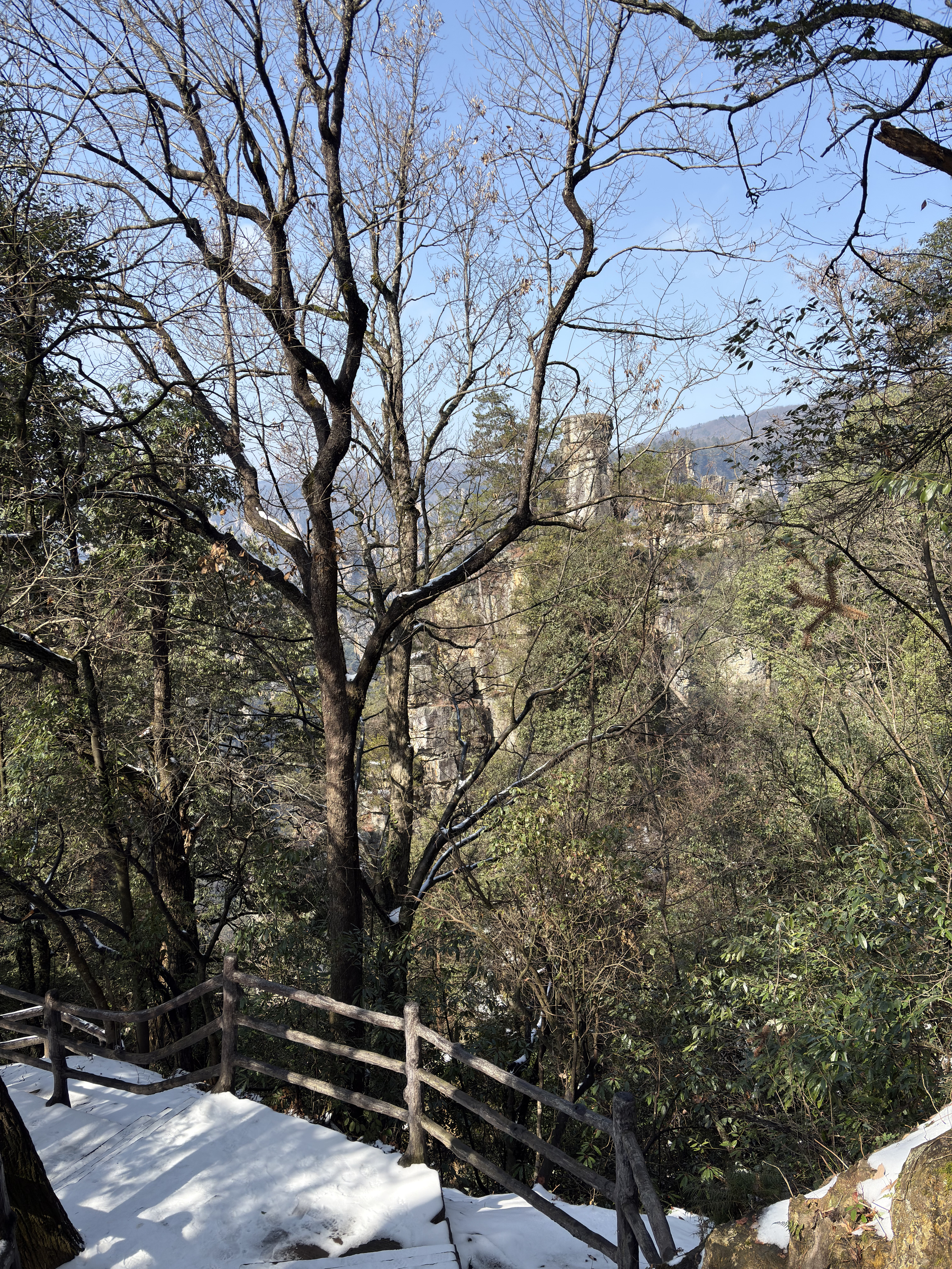Picture China Zhangjiajie Tianzi Mountrain 2026-01 227 - Discovery Tianzi Mountrain