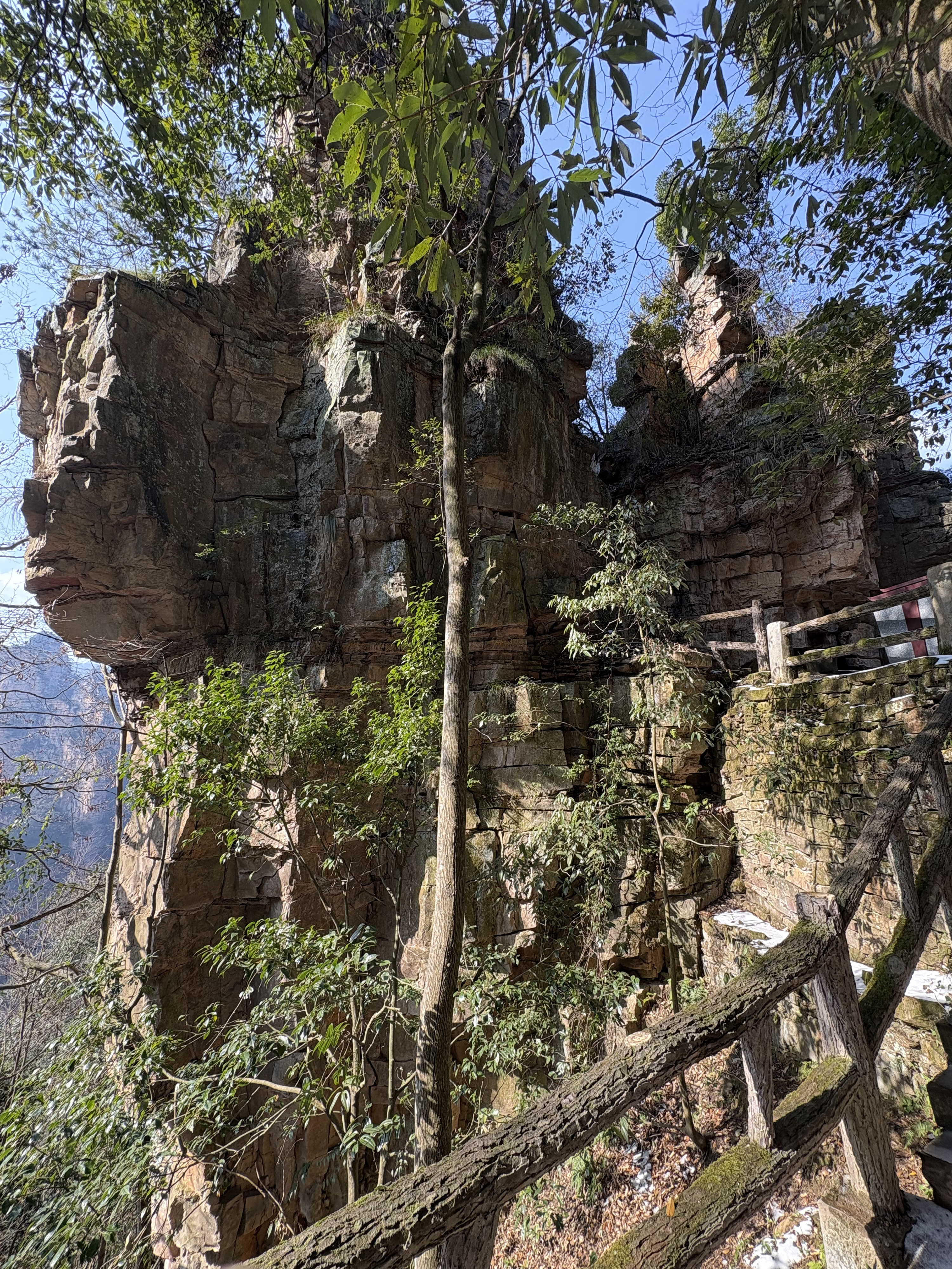 Picture China Zhangjiajie Tianzi Mountrain 2026-01 308 - Tours Tianzi Mountrain
