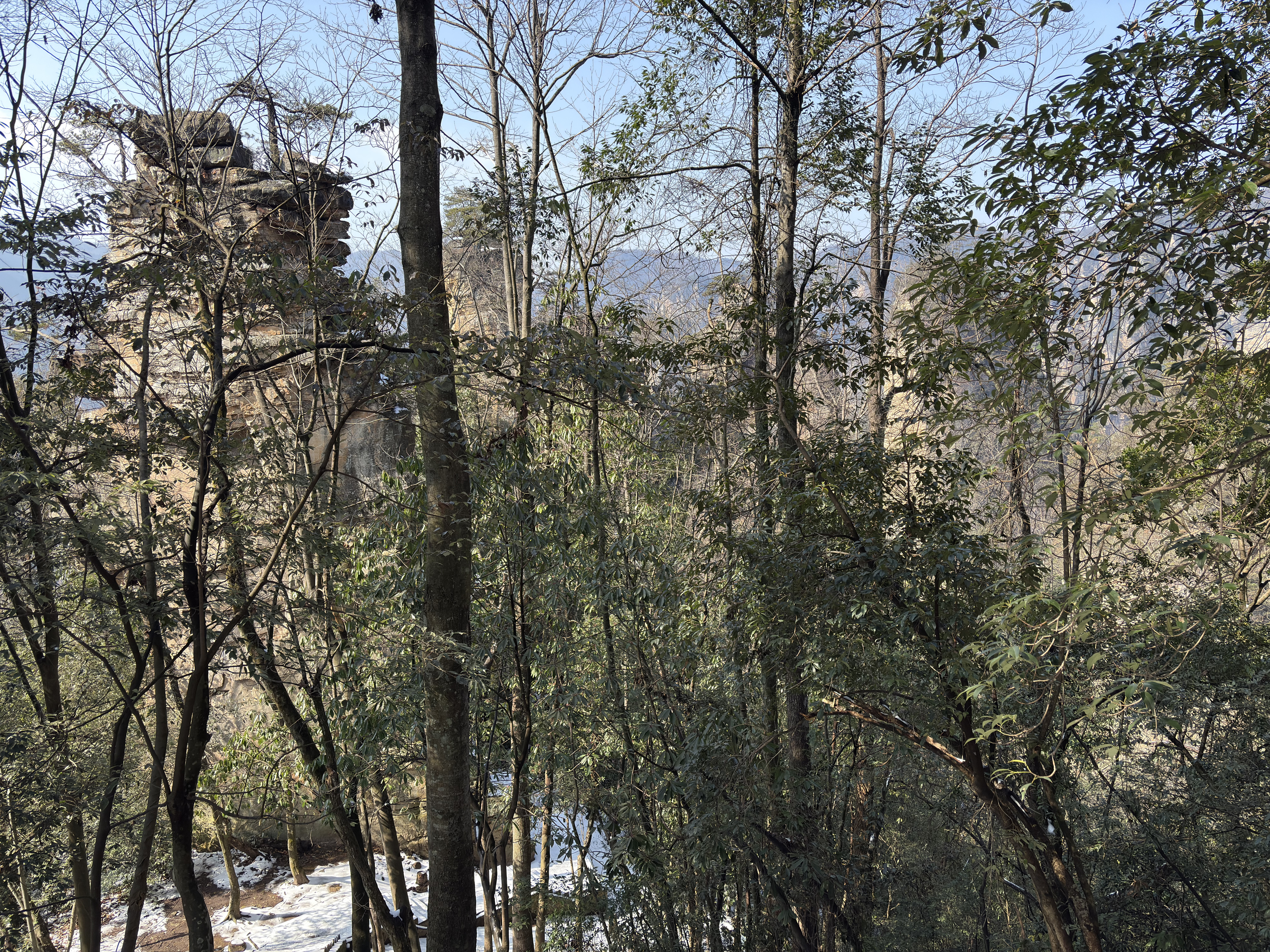 Picture China Zhangjiajie Tianzi Mountrain 2026-01 331 - Discovery Tianzi Mountrain