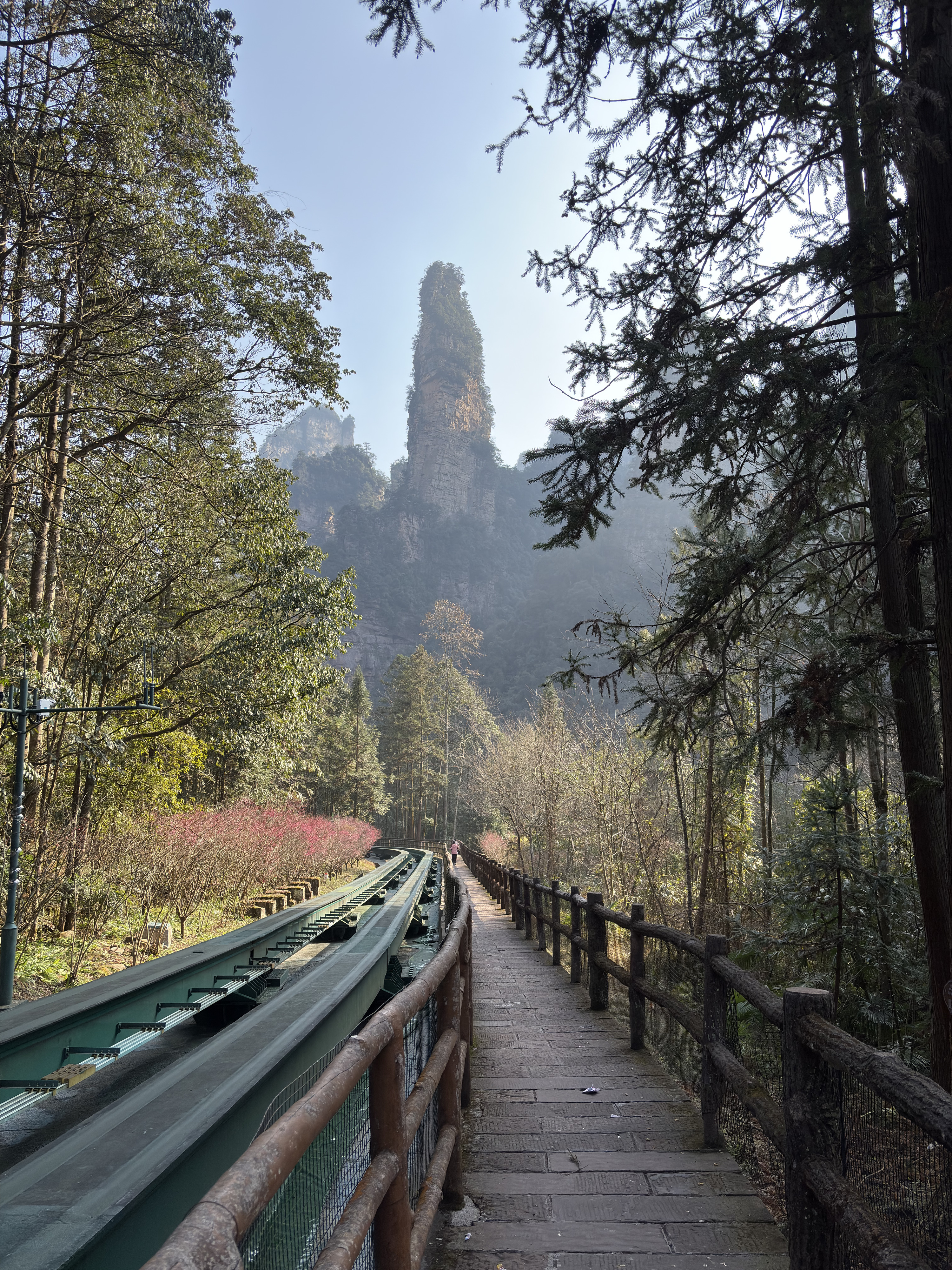 Picture China Zhangjiajie Tianzi Mountrain 2026-01 192 - Tour Tianzi Mountrain