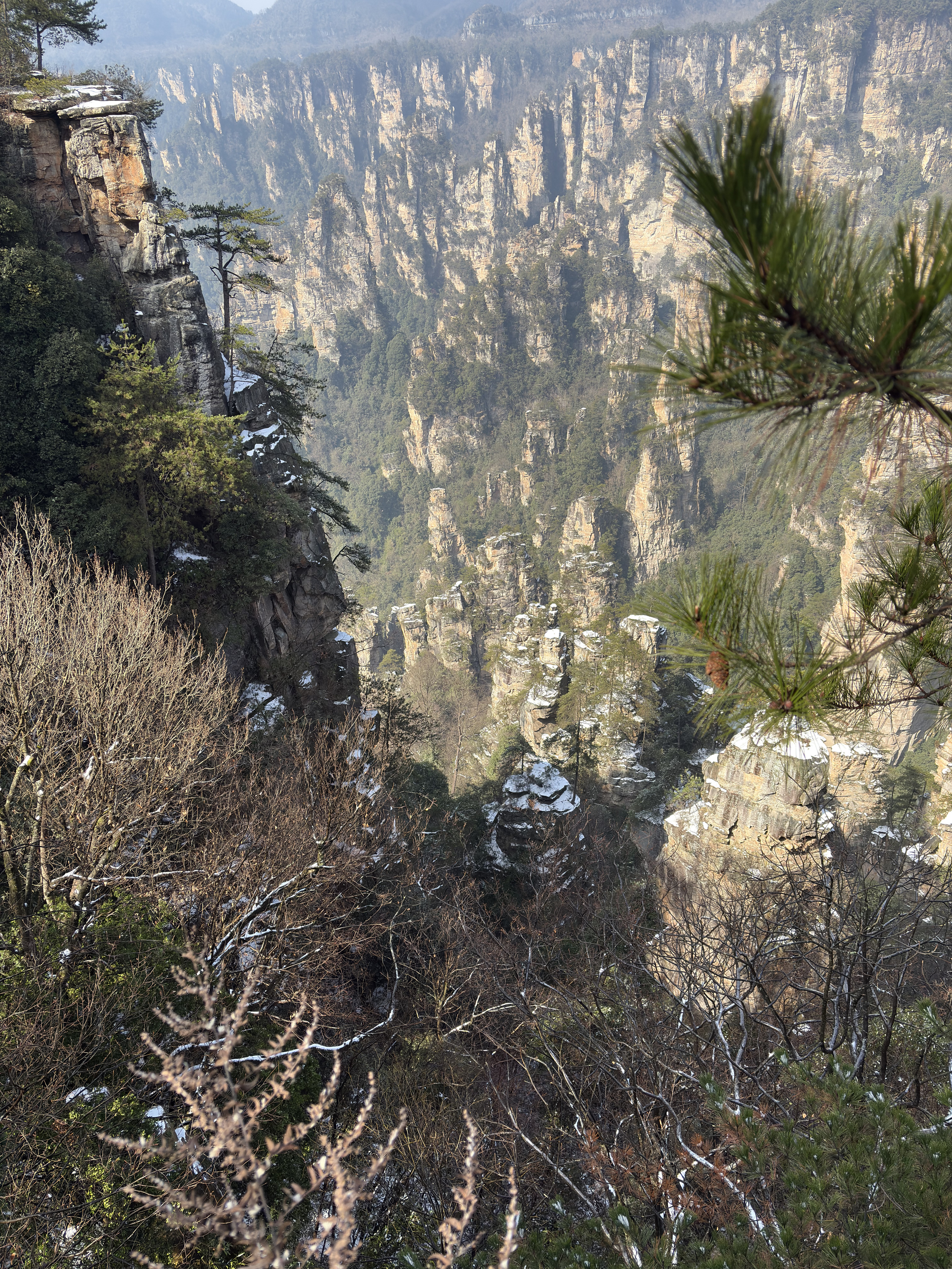 Picture China Zhangjiajie Tianzi Mountrain 2026-01 91 - Discovery Tianzi Mountrain