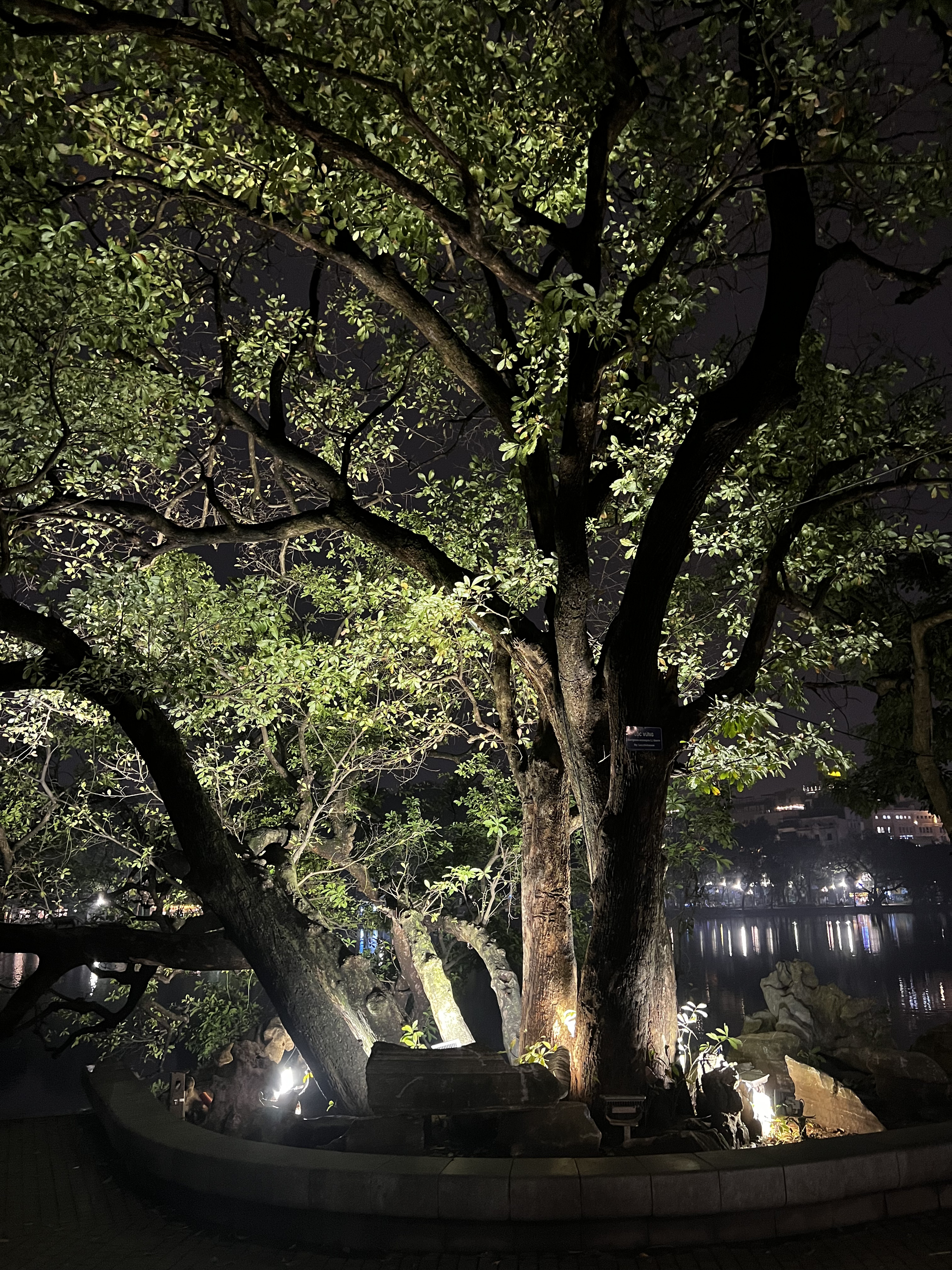 Picture Vietnam Hanoi Hoan Kiem Lake 2024-01 36 - Center Hoan Kiem Lake