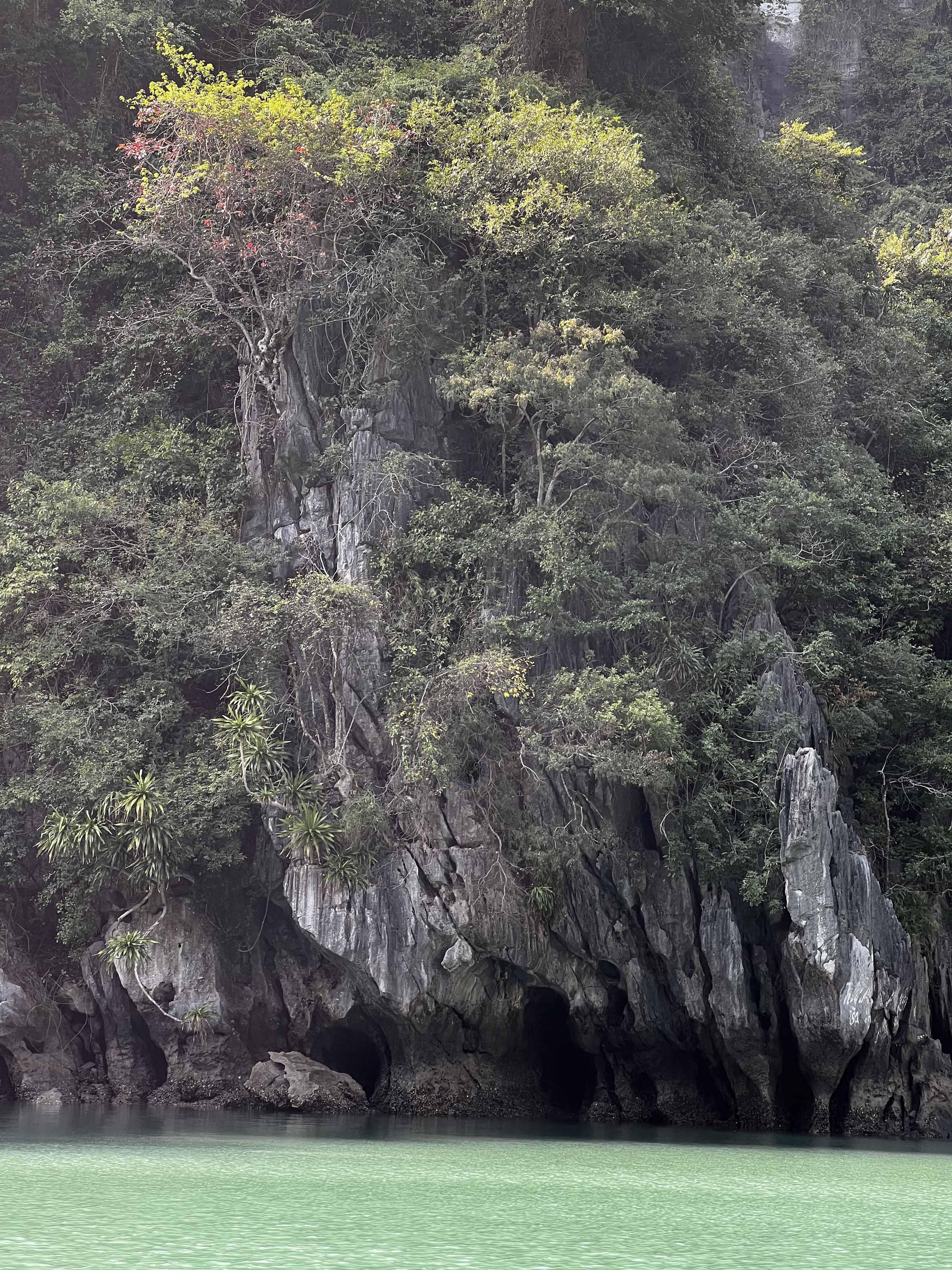 Picture Vietnam Ha Long Bay 2024-01 66 - Around Ha Long Bay