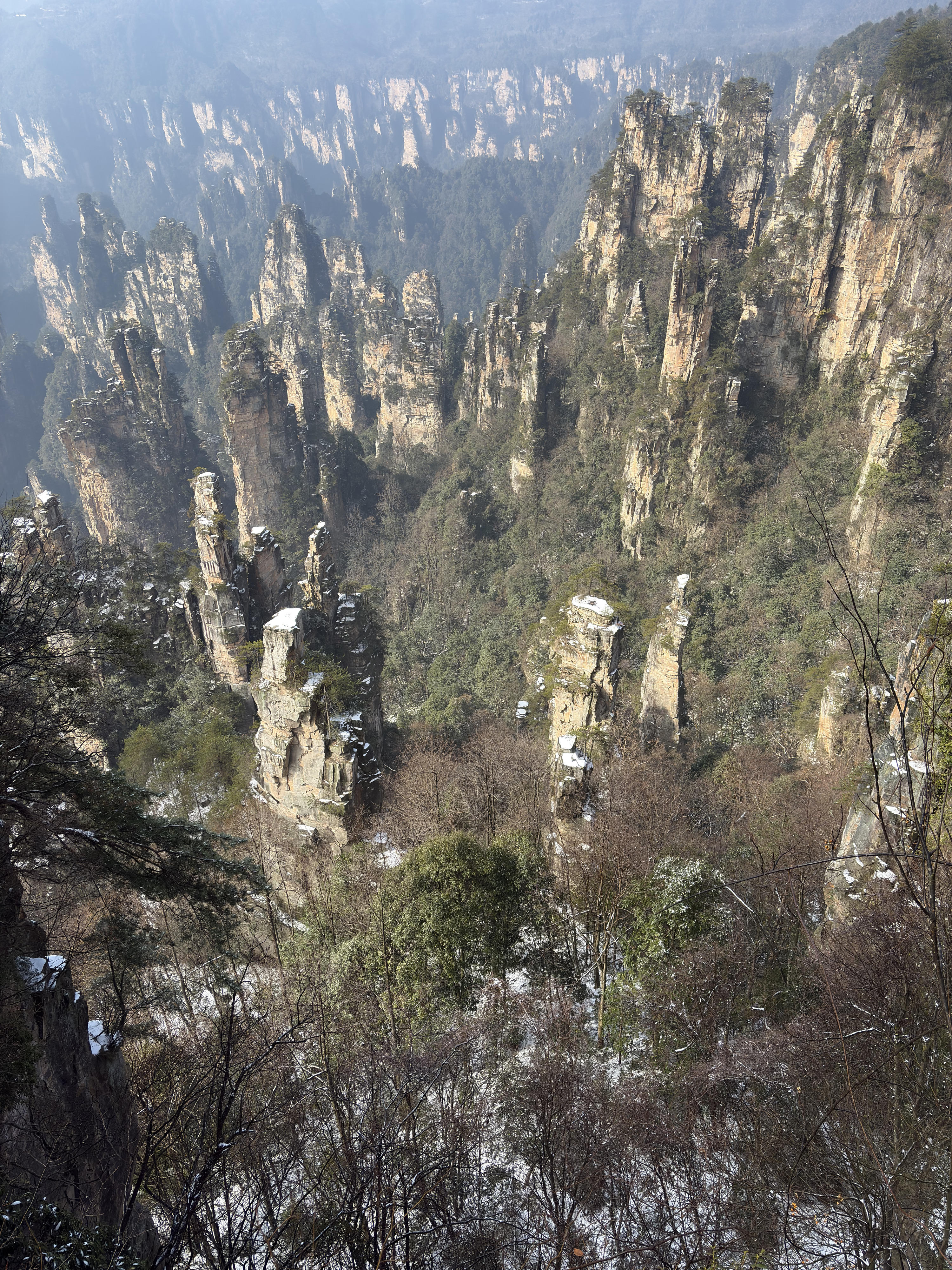 Picture China Zhangjiajie Tianzi Mountrain 2026-01 147 - Tour Tianzi Mountrain