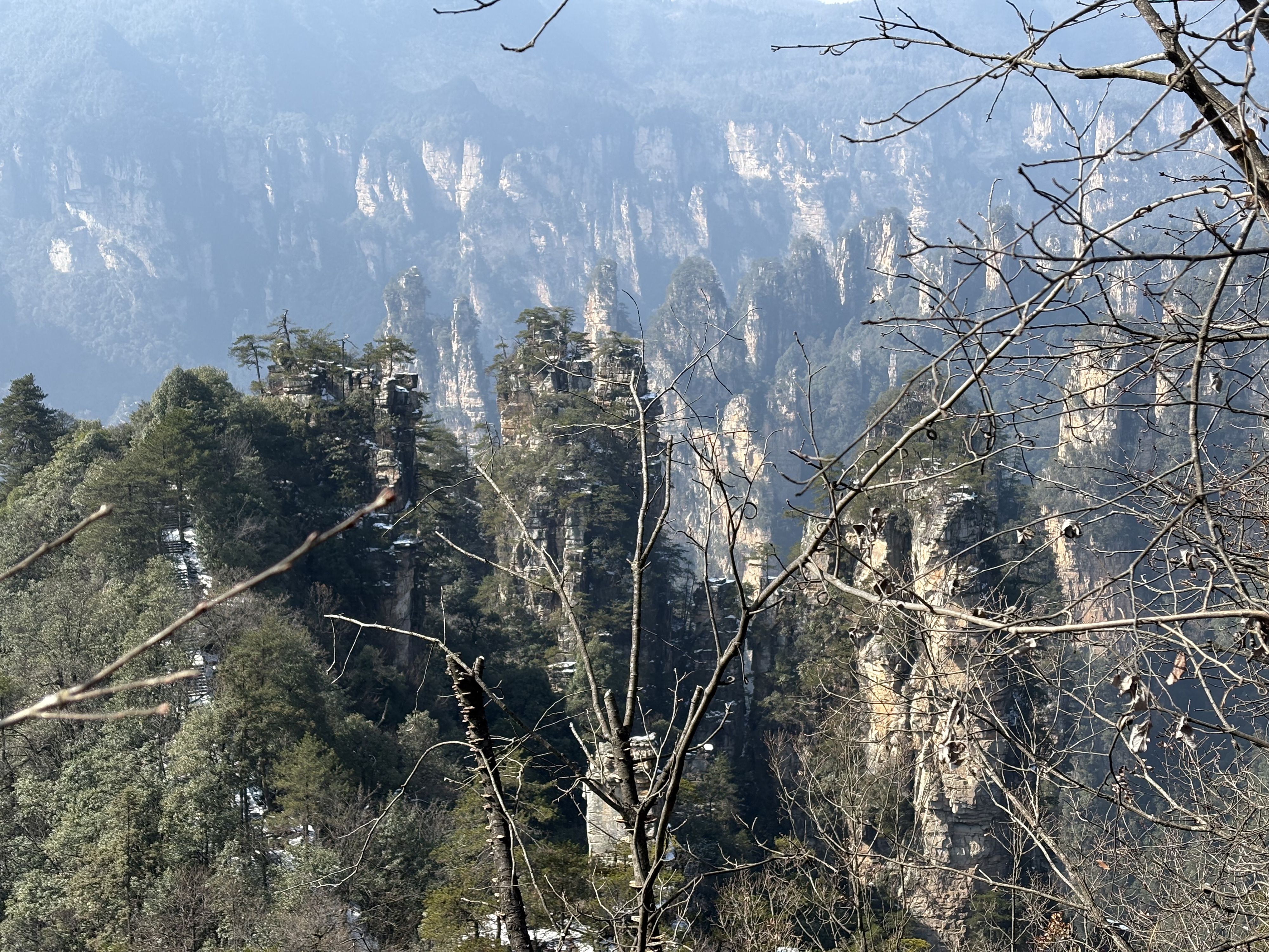 Picture China Zhangjiajie Tianzi Mountrain 2026-01 47 - Tours Tianzi Mountrain