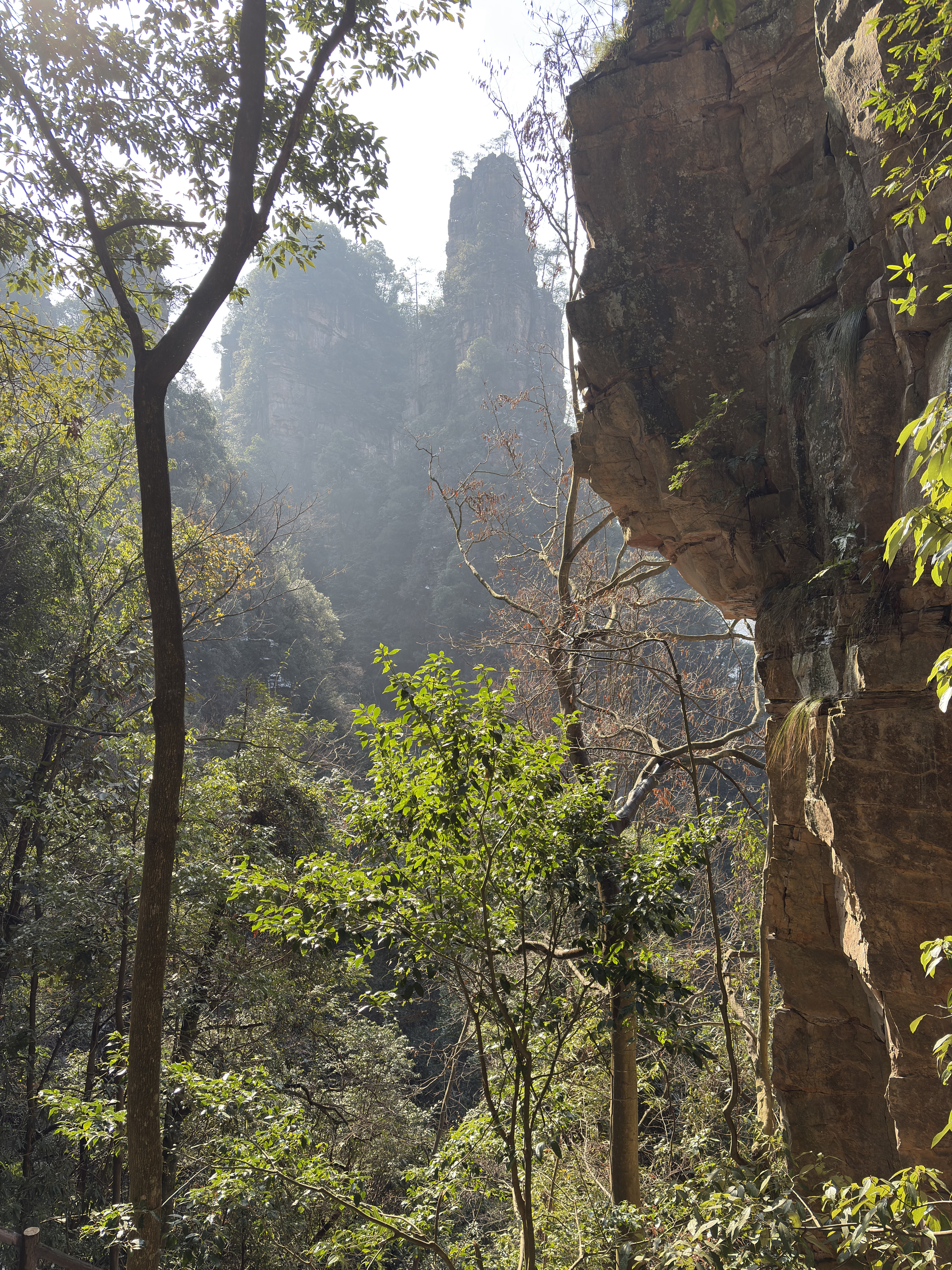 Picture China Zhangjiajie Tianzi Mountrain 2026-01 117 - History Tianzi Mountrain