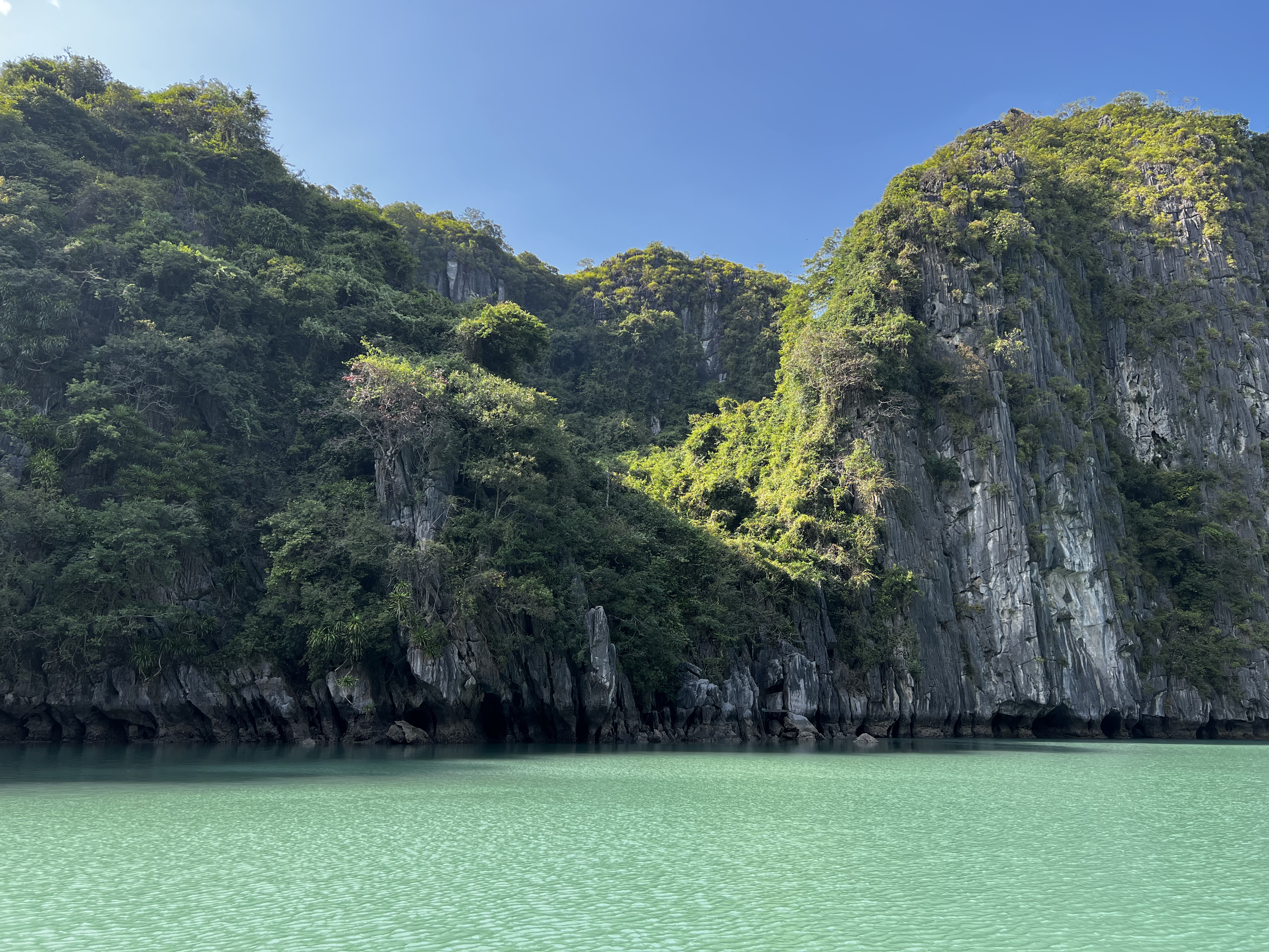 Picture Vietnam Ha Long Bay 2024-01 81 - Journey Ha Long Bay