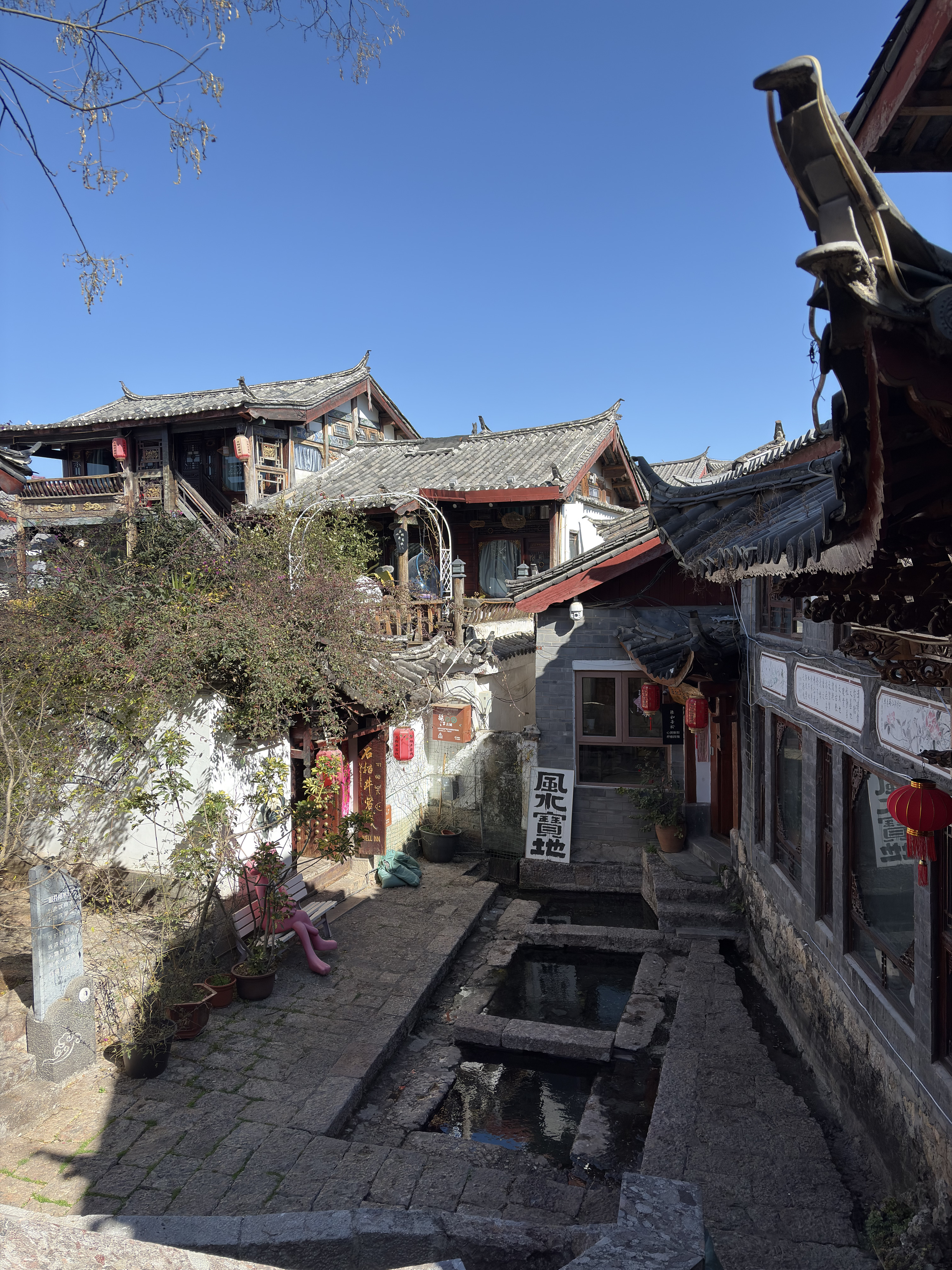 Picture China Lijiang 2026-01 732 - Discovery Lijiang