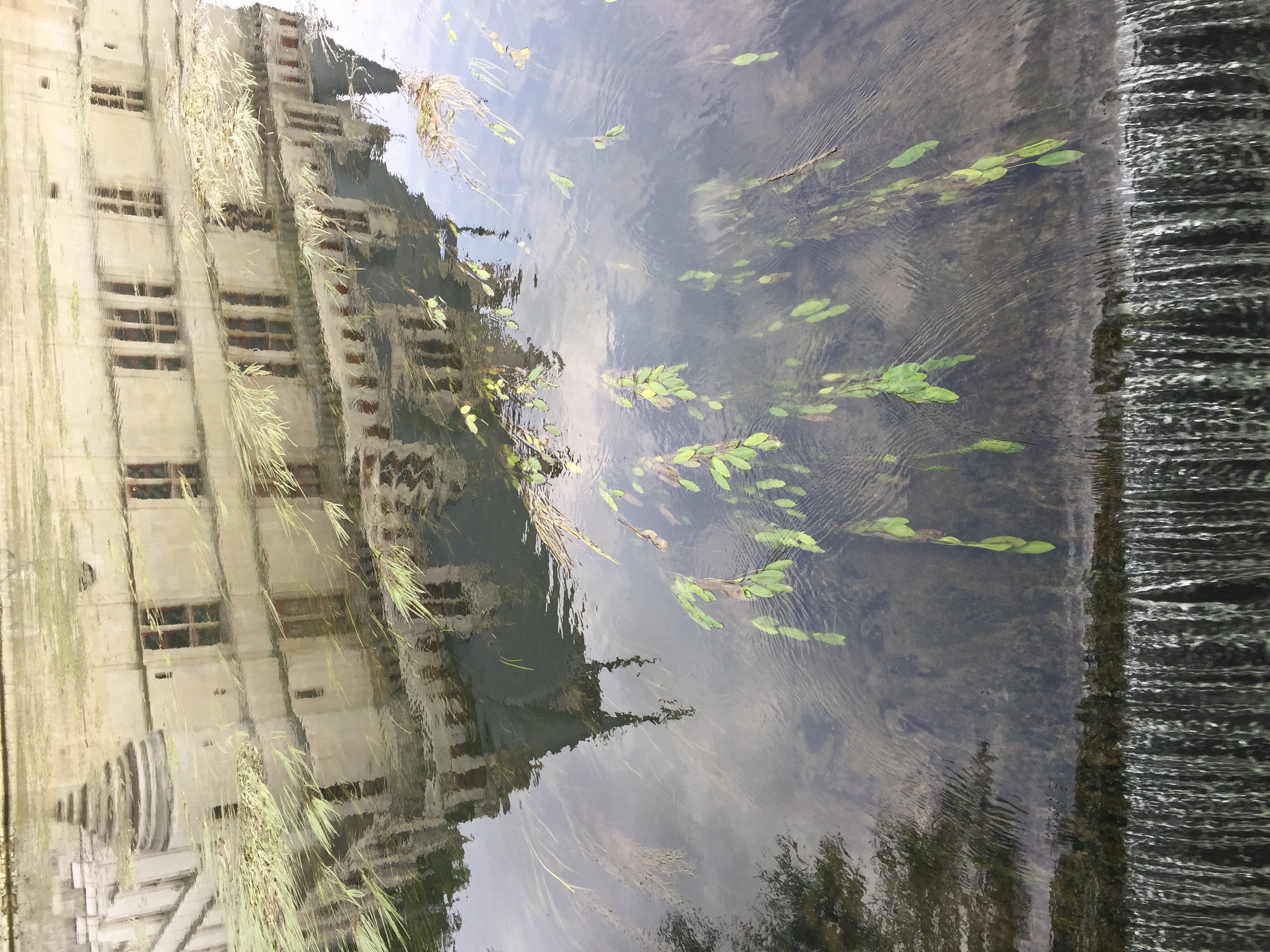 Picture France Azay-le-Rideau Castle 2017-08 14