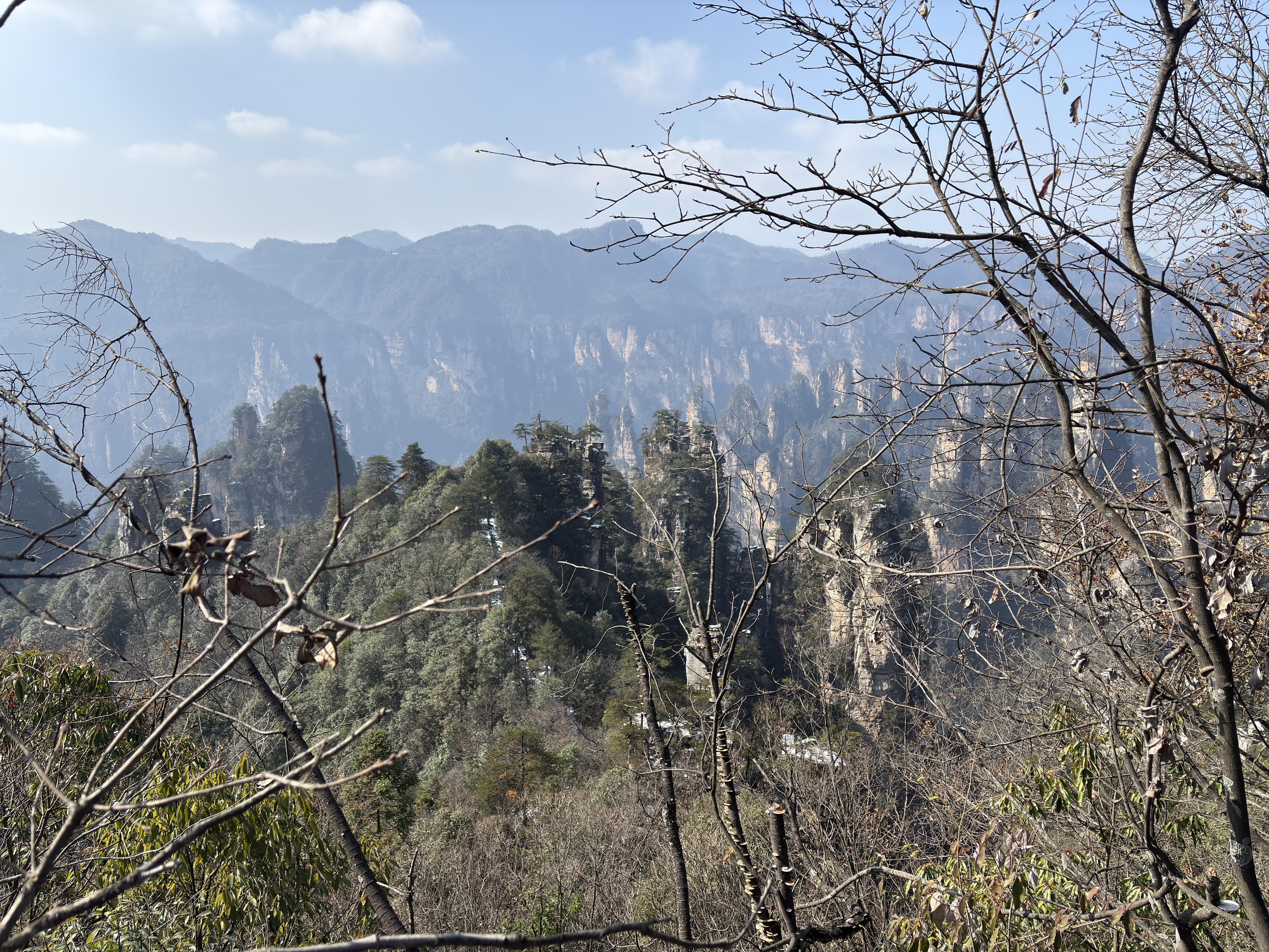 Picture China Zhangjiajie Tianzi Mountrain 2026-01 396 - Tours Tianzi Mountrain