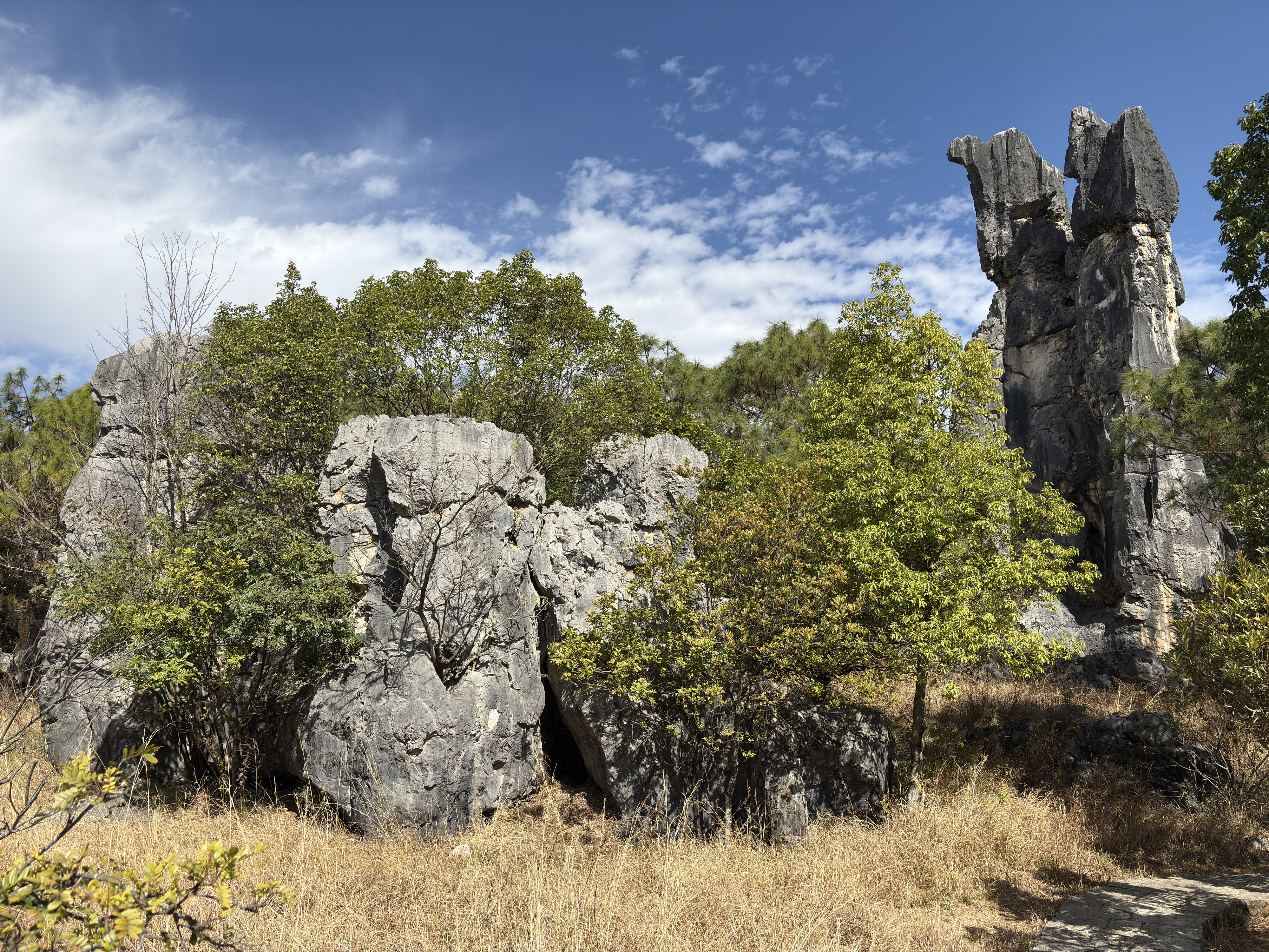 Picture China Shilin Stone Forest 2026-01 377 - Center Shilin Stone Forest