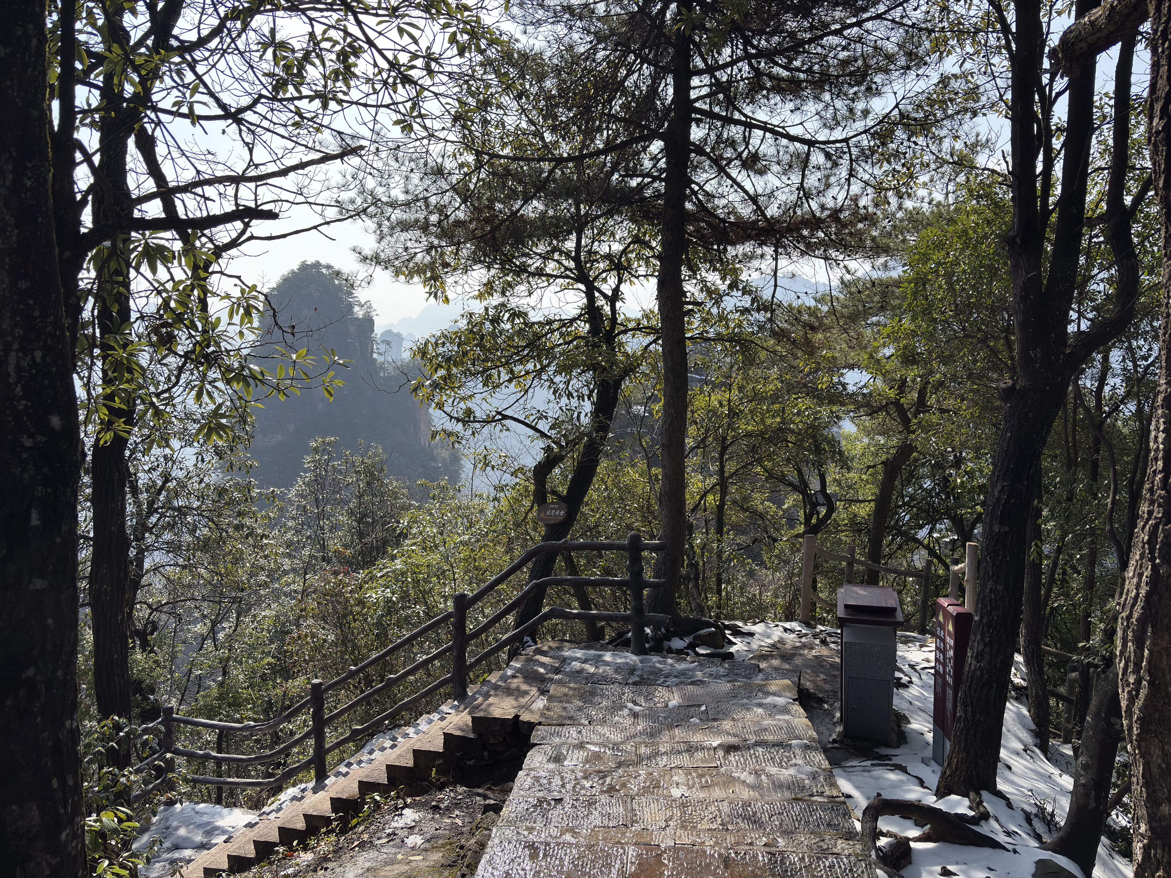 Picture China Zhangjiajie Tianzi Mountrain 2026-01 171 - Tours Tianzi Mountrain