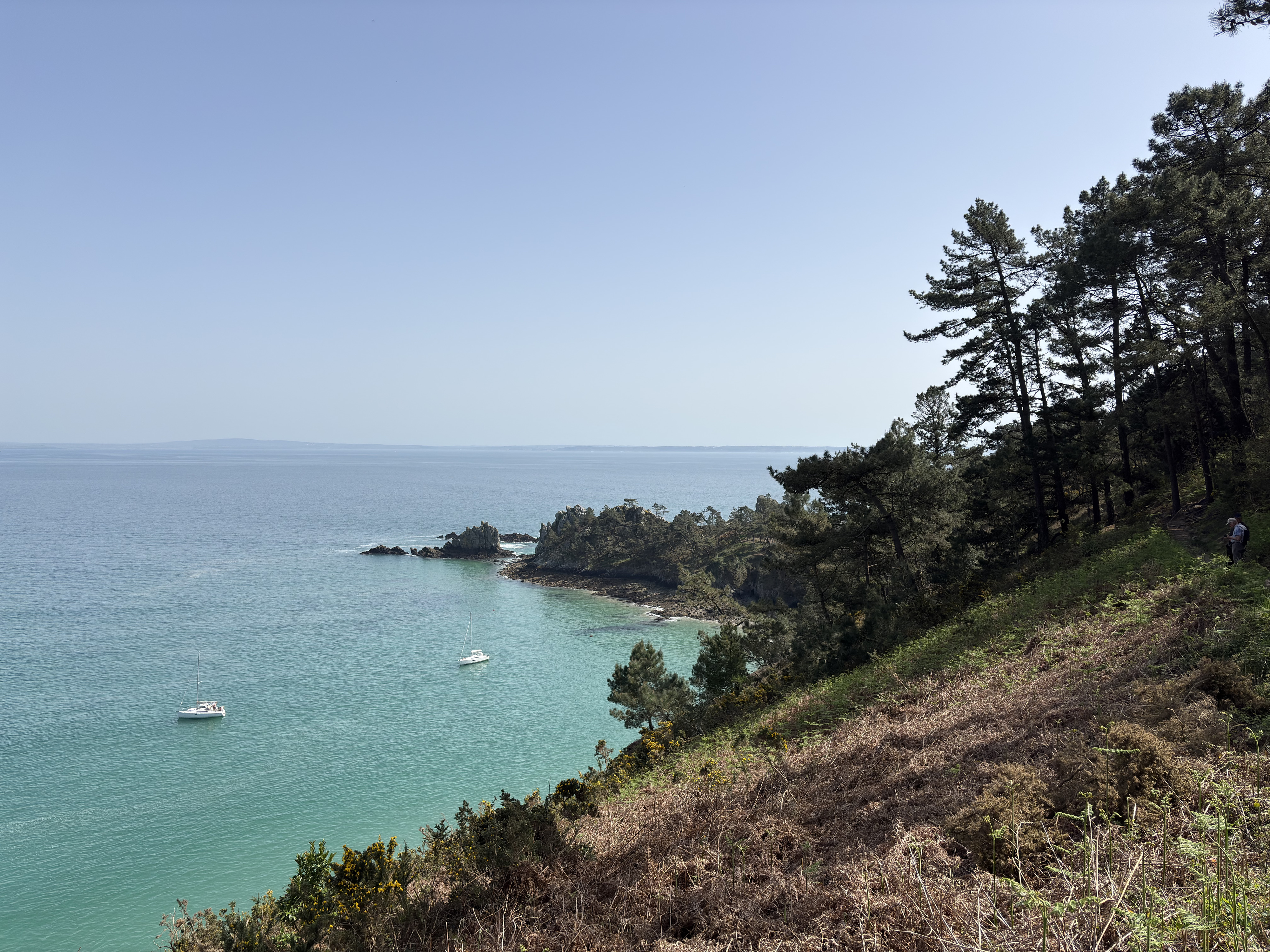Picture France Crozon Ile Vierge Beach 2026-04 50 - Discovery Ile Vierge Beach