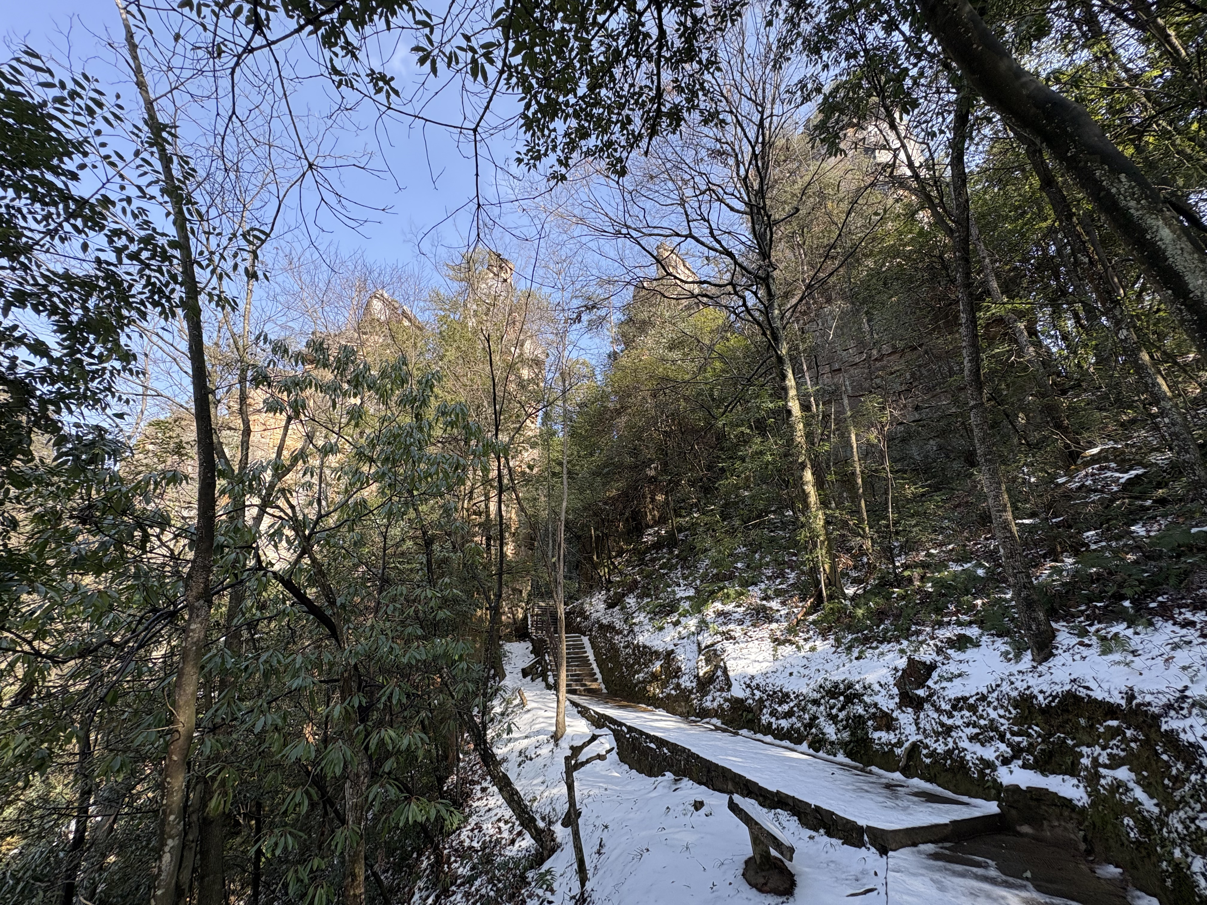 Picture China Zhangjiajie Tianzi Mountrain 2026-01 164 - Tours Tianzi Mountrain