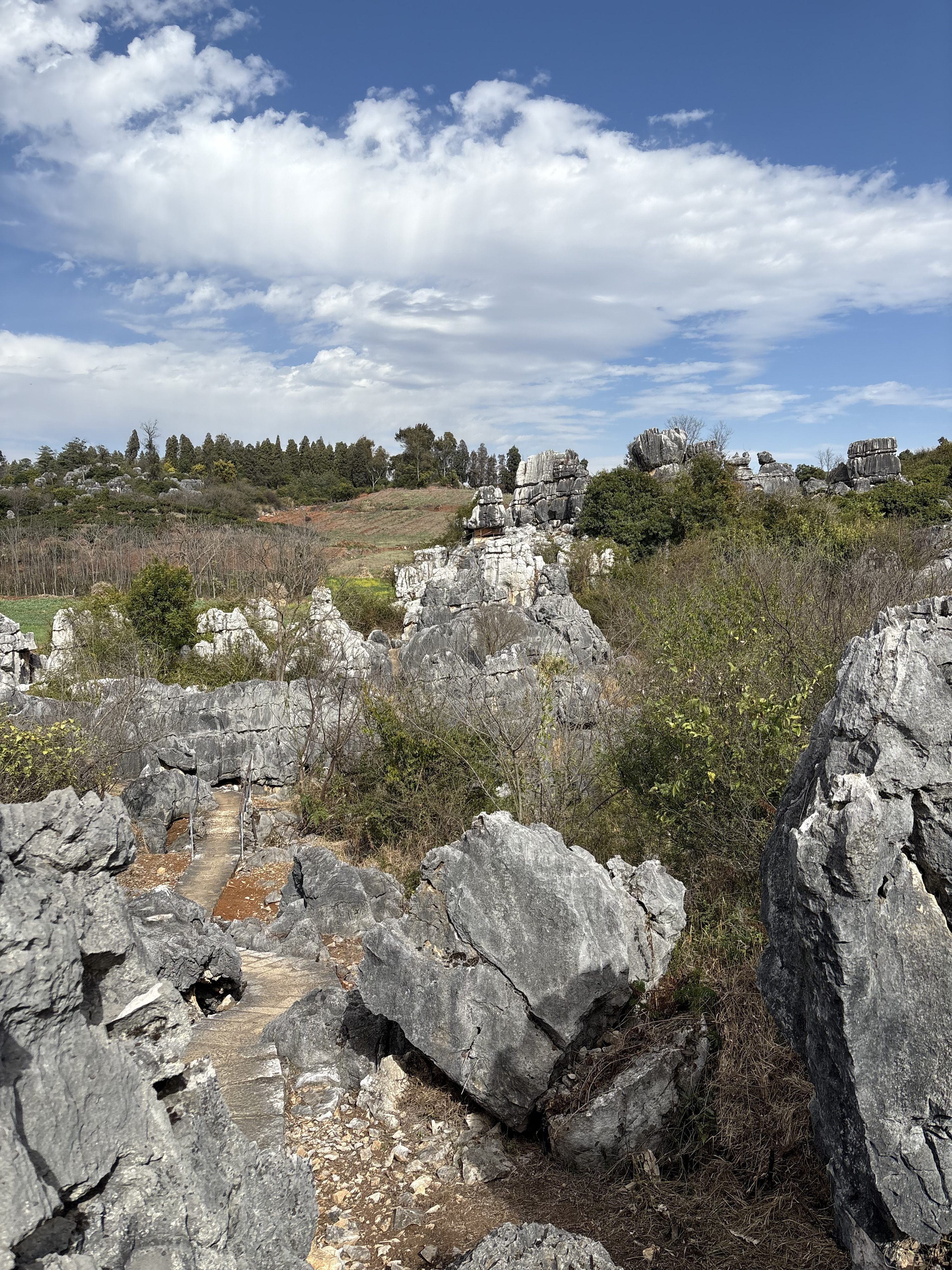 Picture China Shilin Stone Forest 2026-01 383 - Tours Shilin Stone Forest