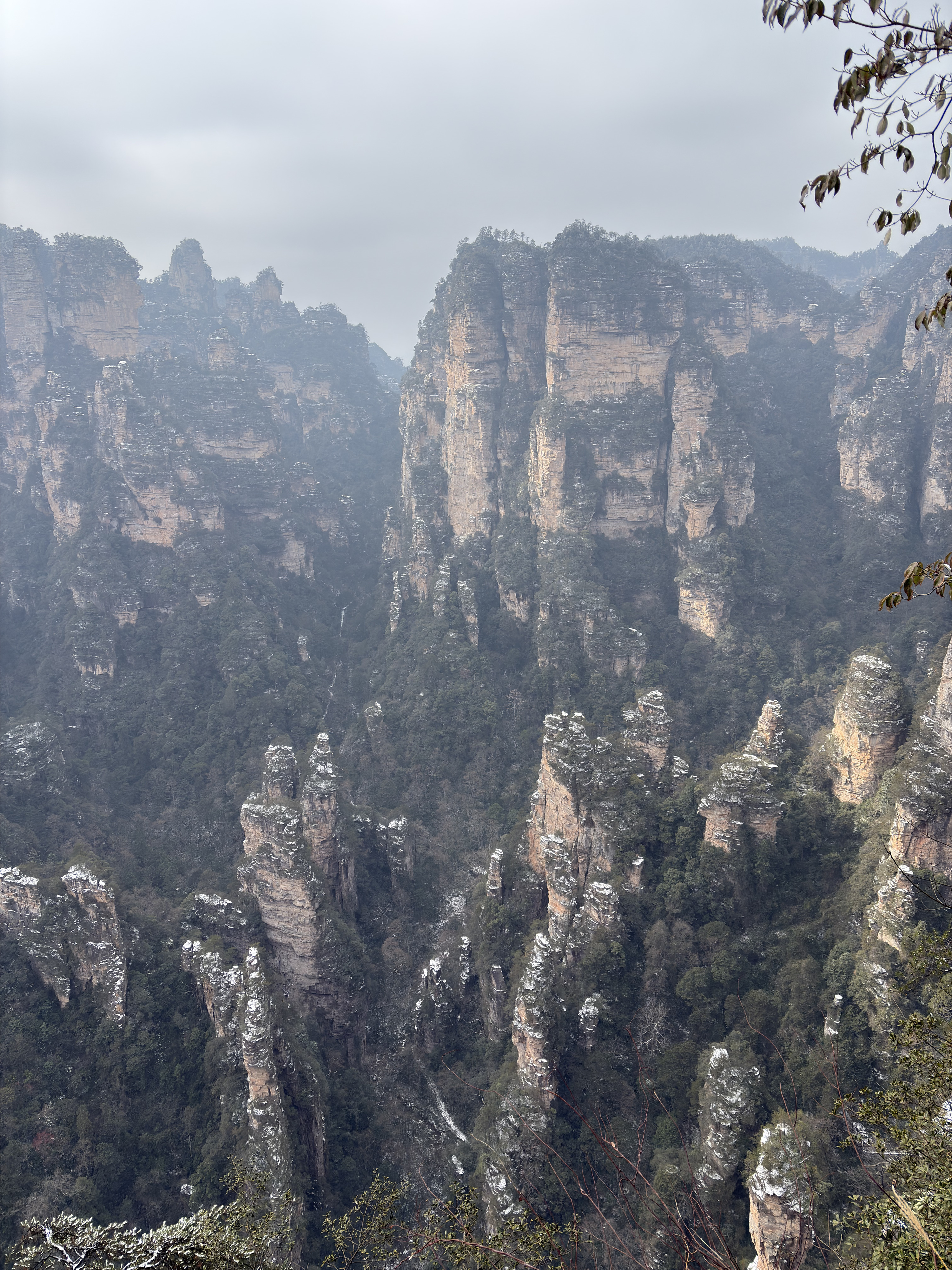Picture China Zhangjiajie 2026-01 20 - Tours Zhangjiajie