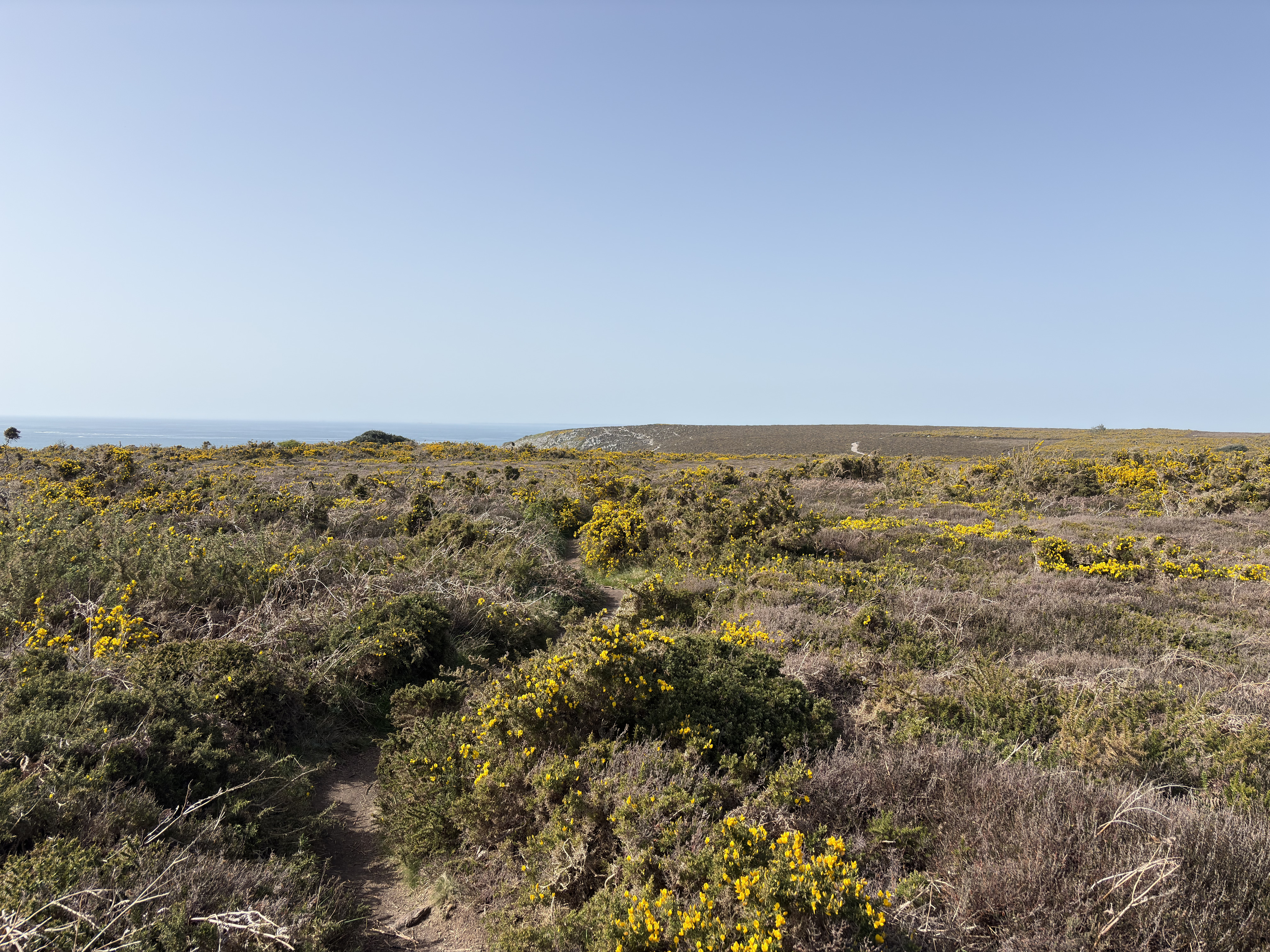 Picture France Crozon Cap de la Chevre 2026-04 15 - Journey Cap de la Chevre