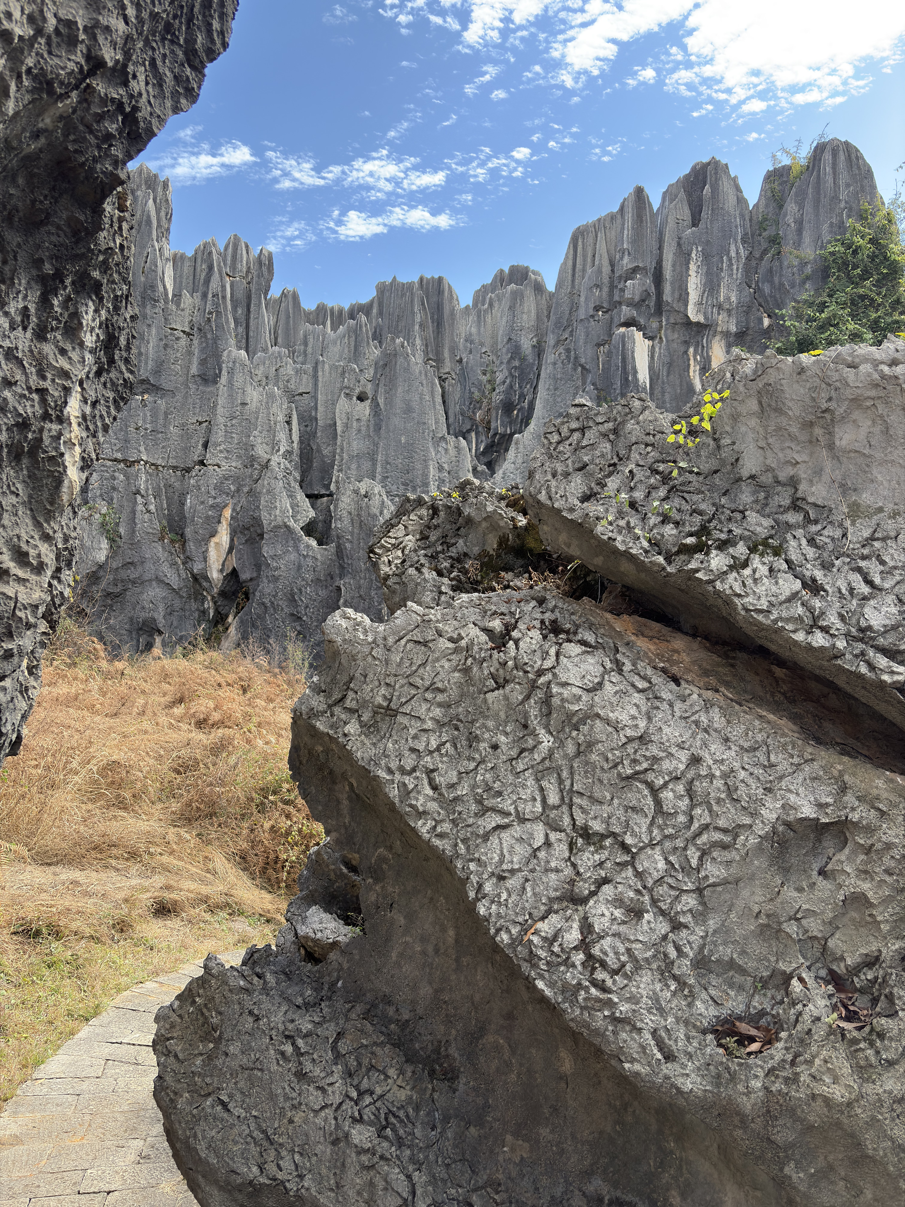 Picture China Shilin Stone Forest 2026-01 189 - History Shilin Stone Forest