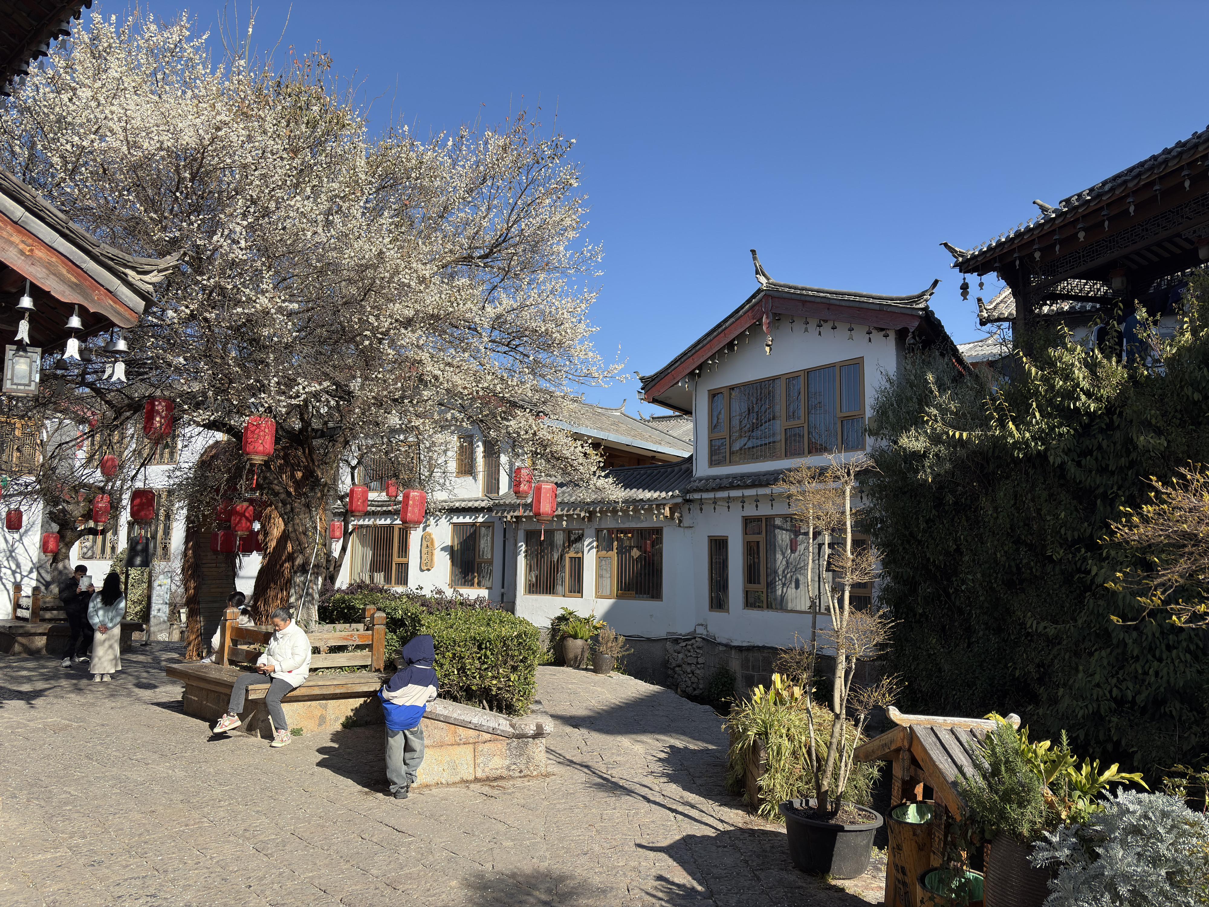 Picture China Lijiang 2026-01 564 - Center Lijiang