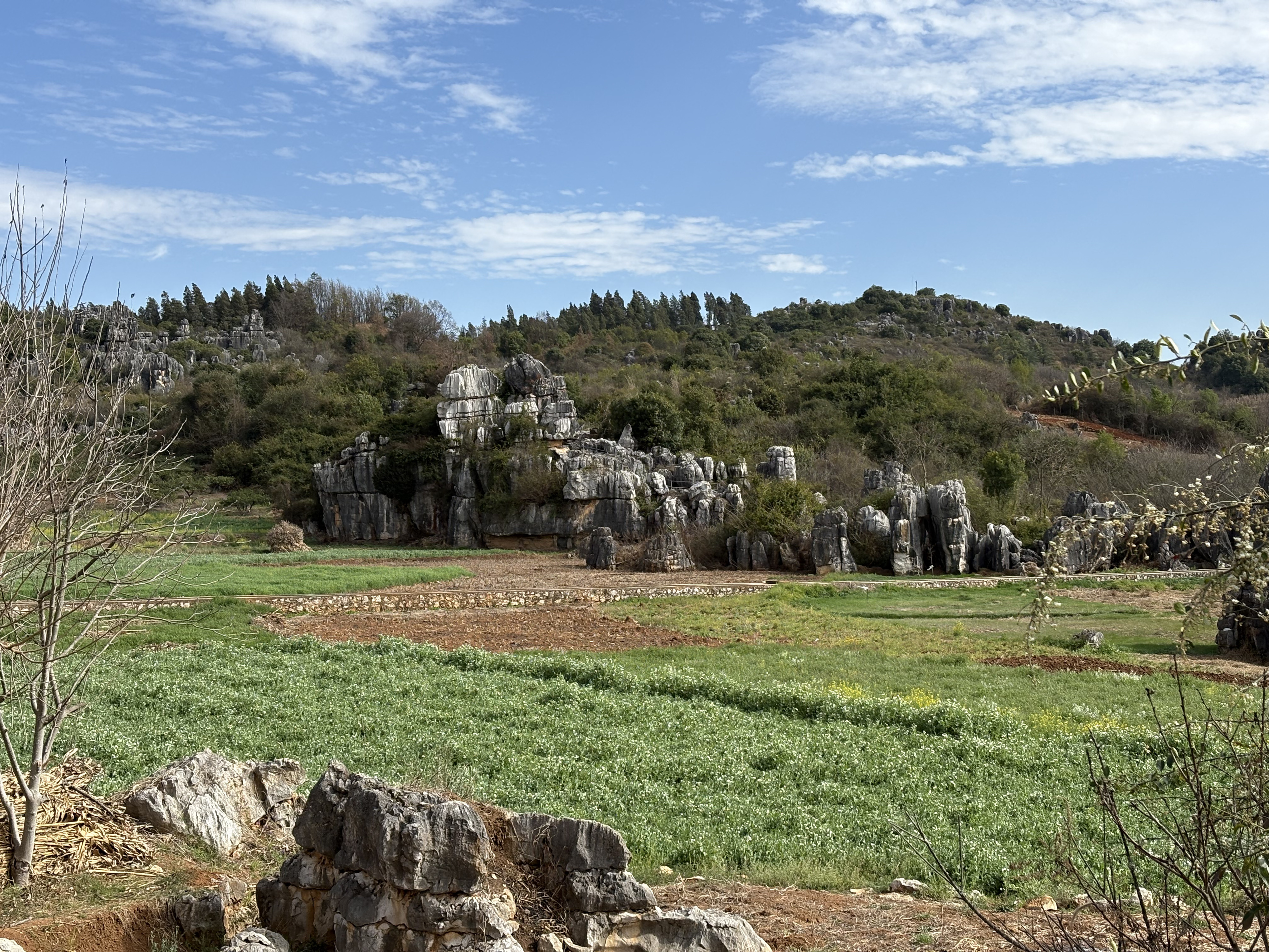 Picture China Shilin Stone Forest 2026-01 280 - Around Shilin Stone Forest