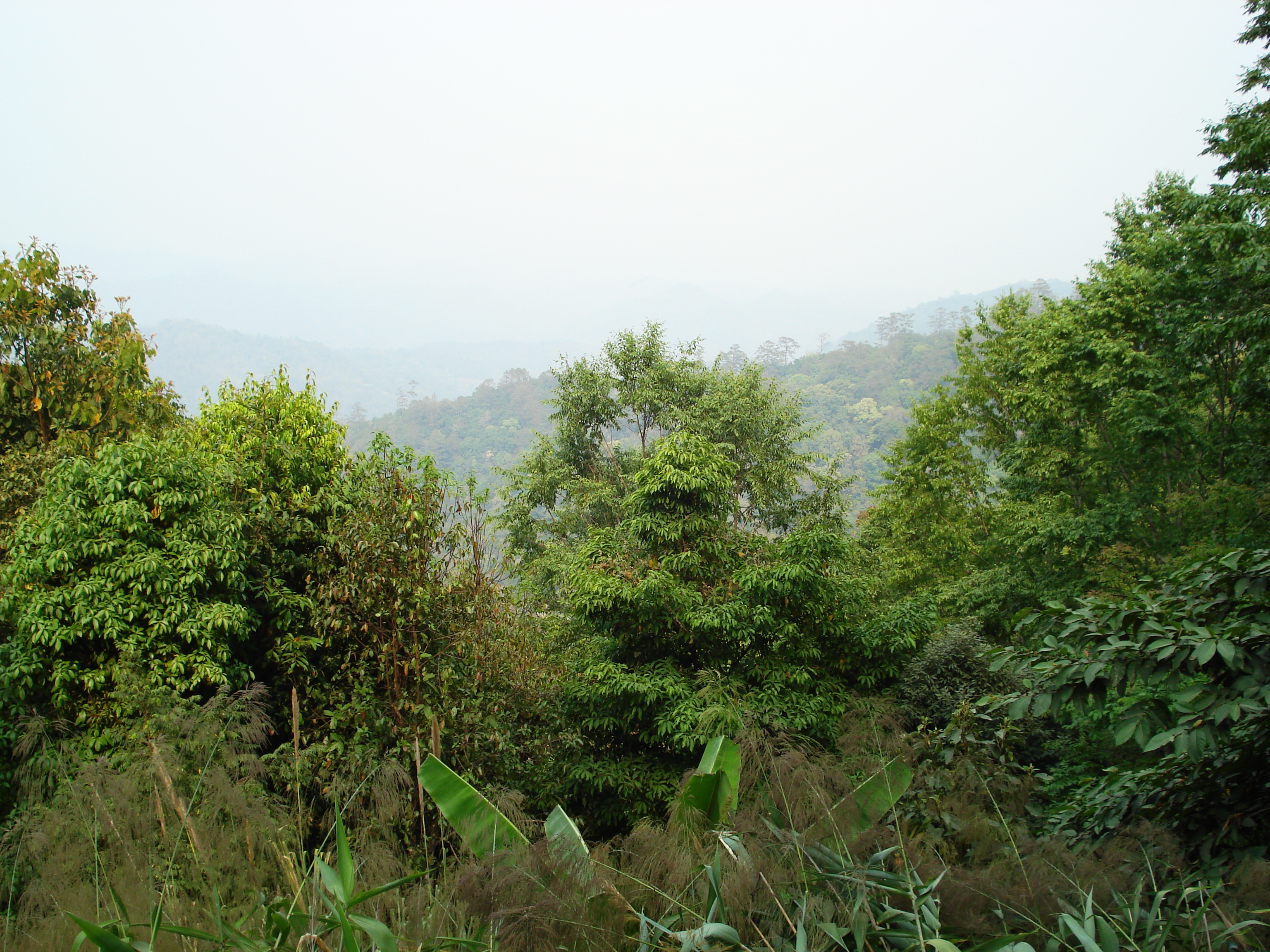 Picture Thailand Chiang Mai to Pai road 2007-02 39 - History Chiang Mai to Pai road