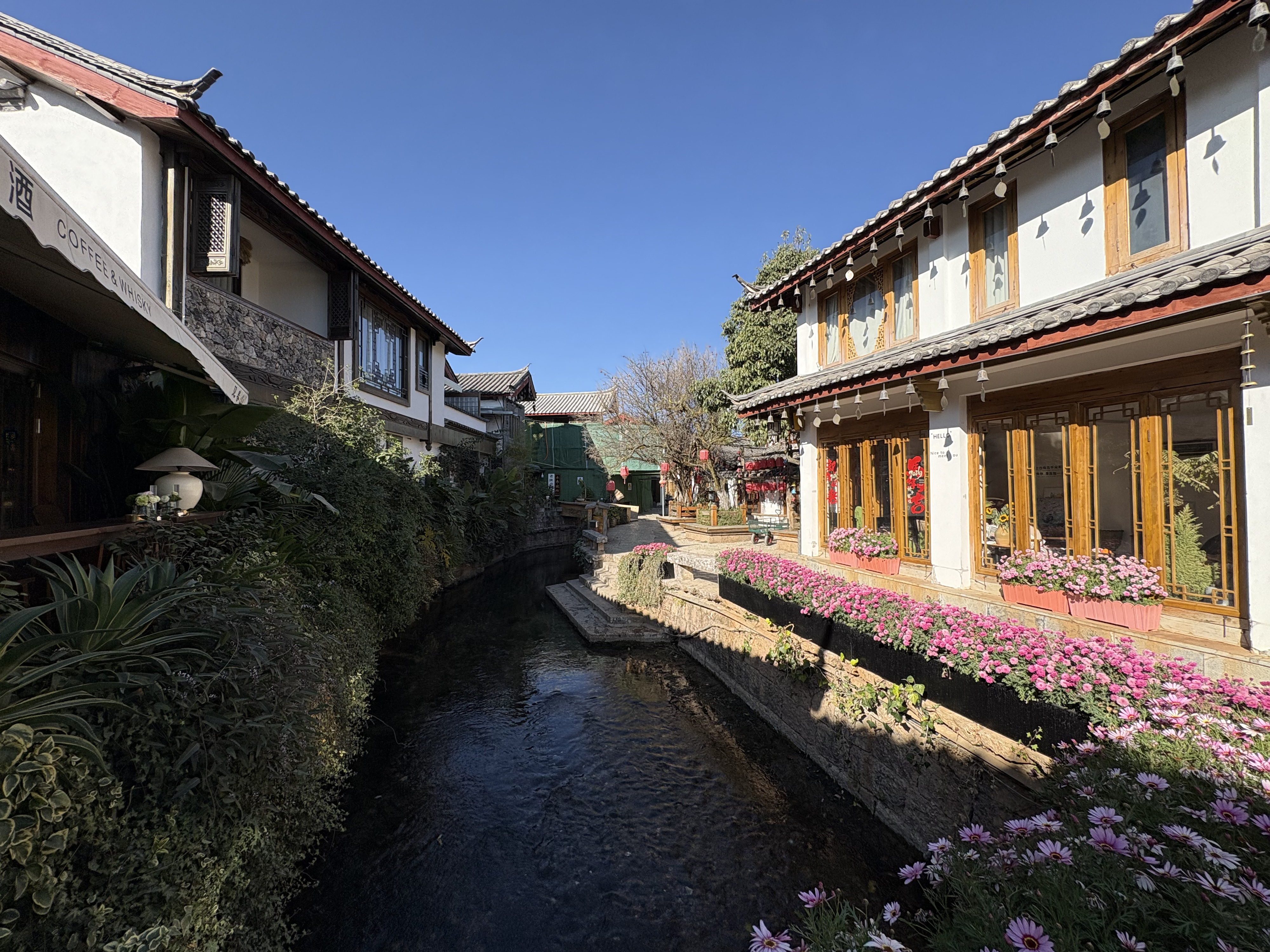 Picture China Lijiang 2026-01 275 - Tour Lijiang