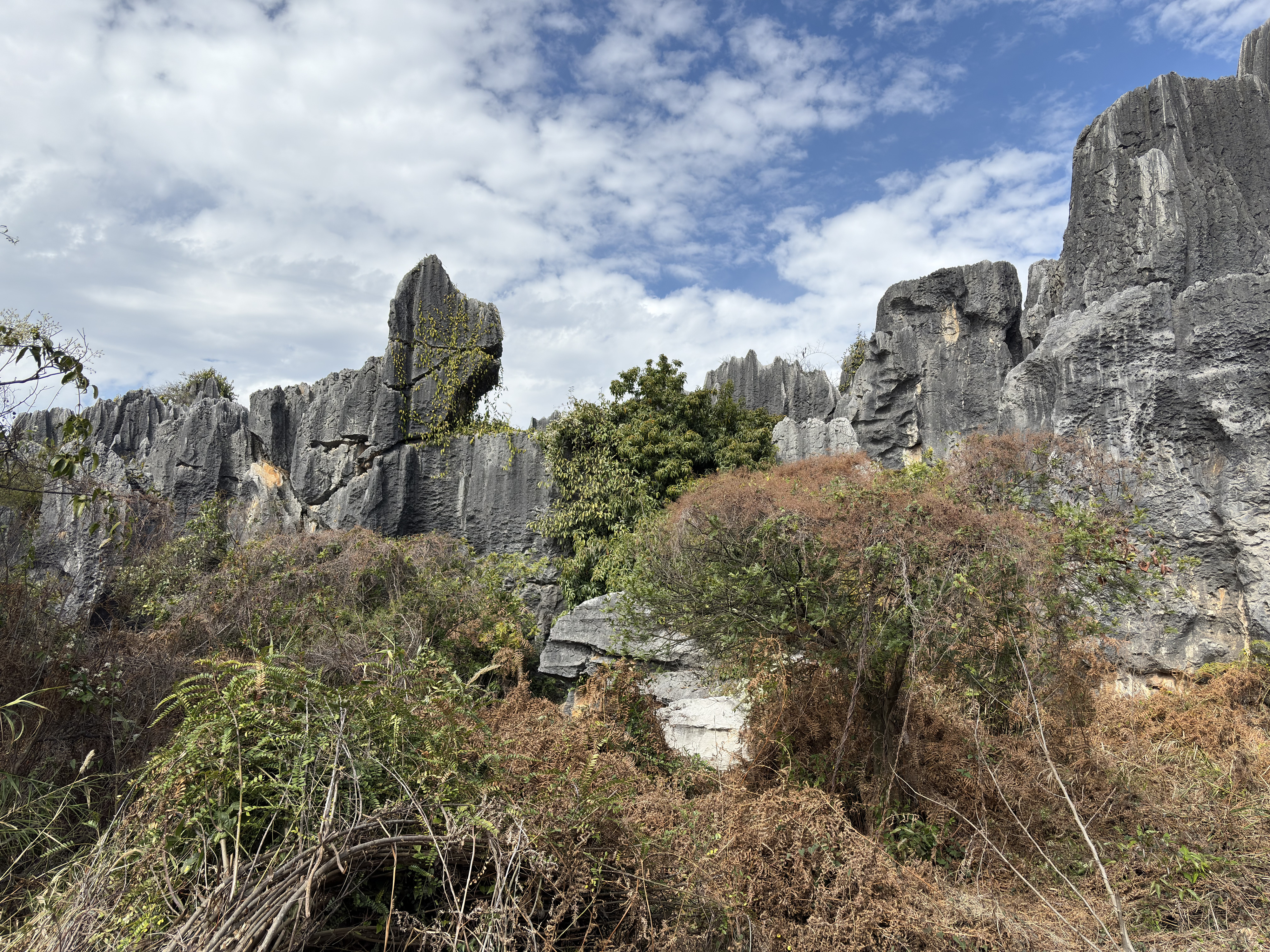 Picture China Shilin Stone Forest 2026-01 134 - Tour Shilin Stone Forest