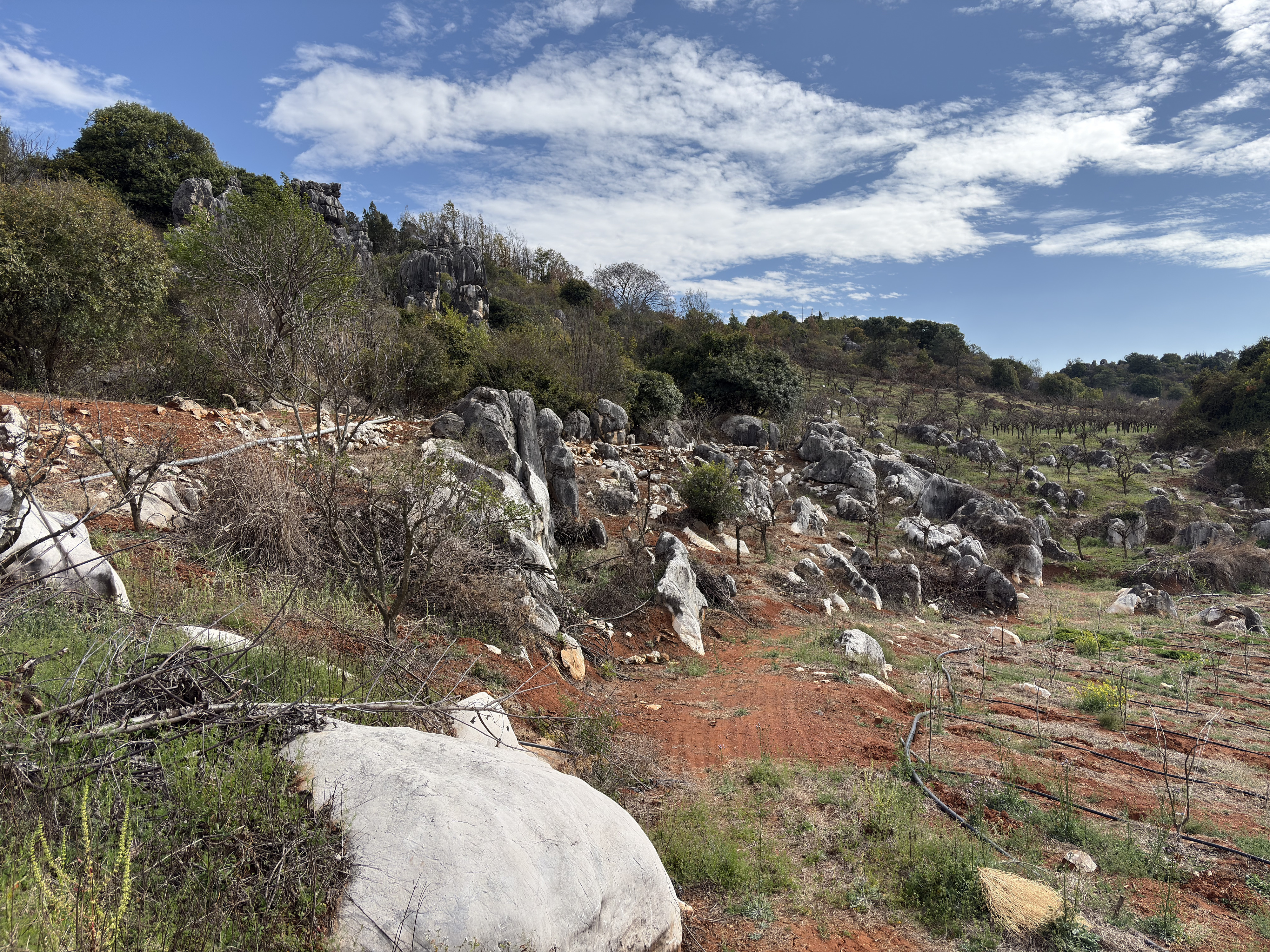 Picture China Shilin Stone Forest 2026-01 37 - History Shilin Stone Forest